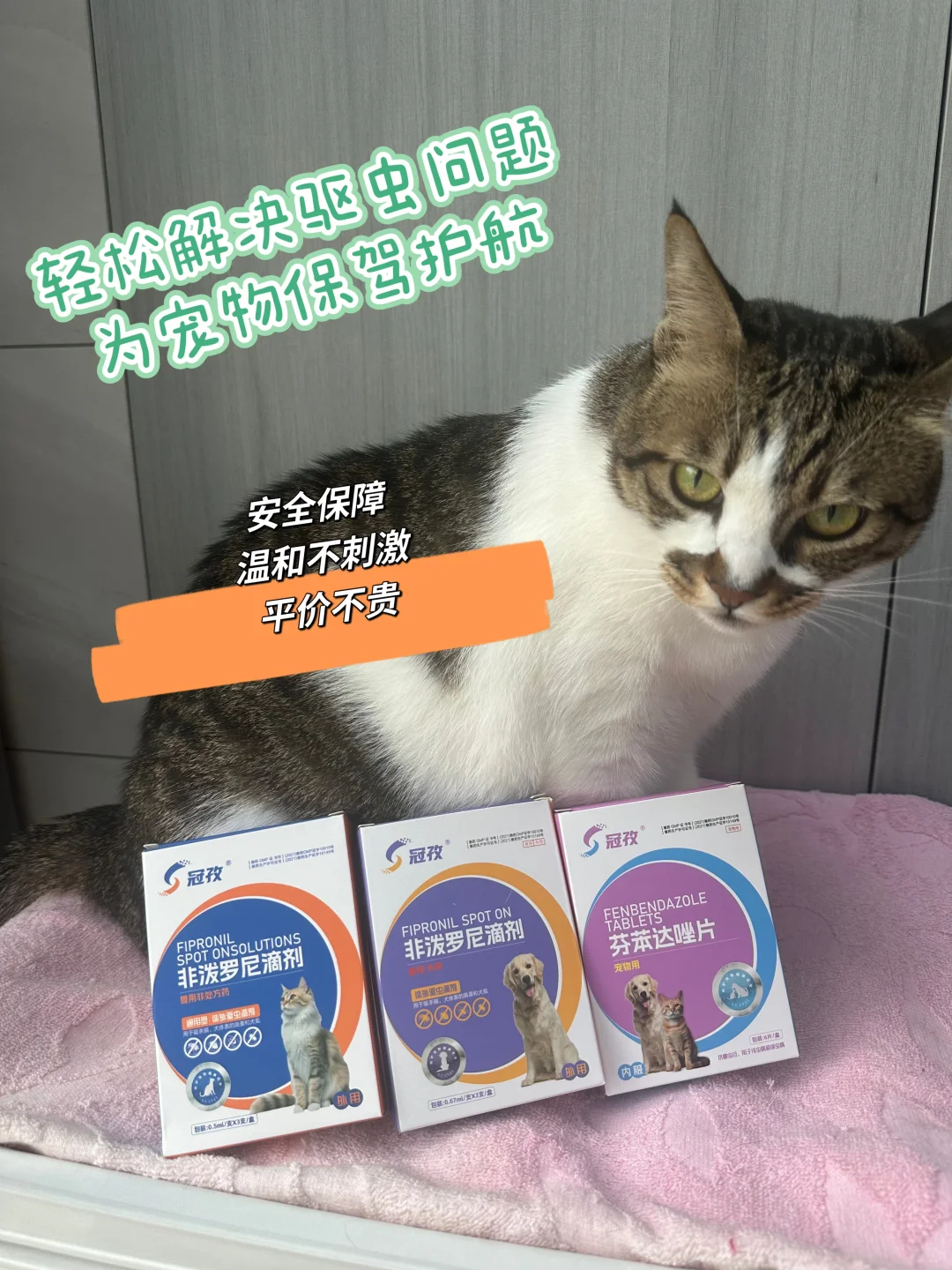 科学养宠，要按时给猫猫做驱虫哦！