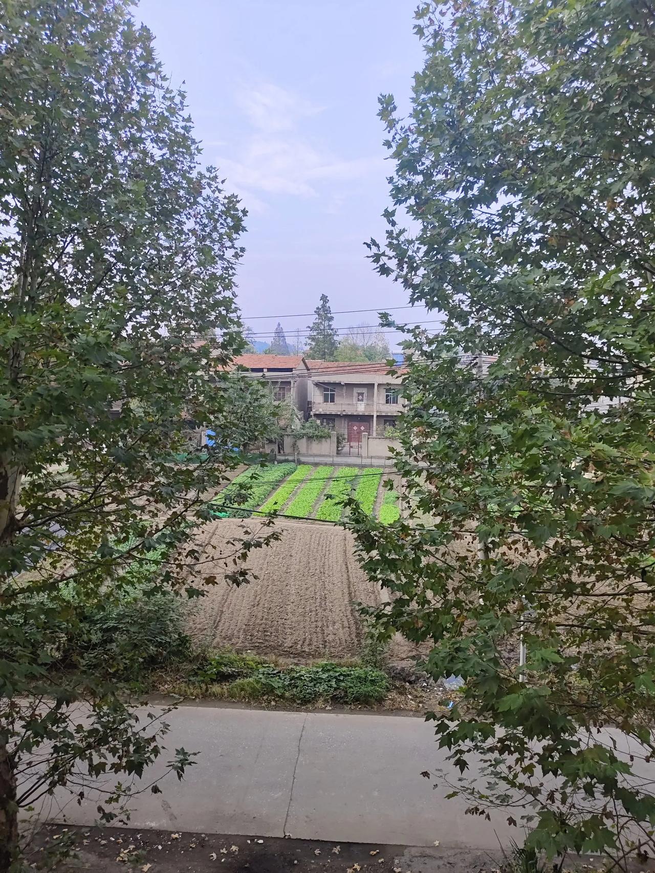 单位一把手需要发挥部门中层和分管领导的作用，但是，也会提防他们膨胀权力、蒙蔽自己