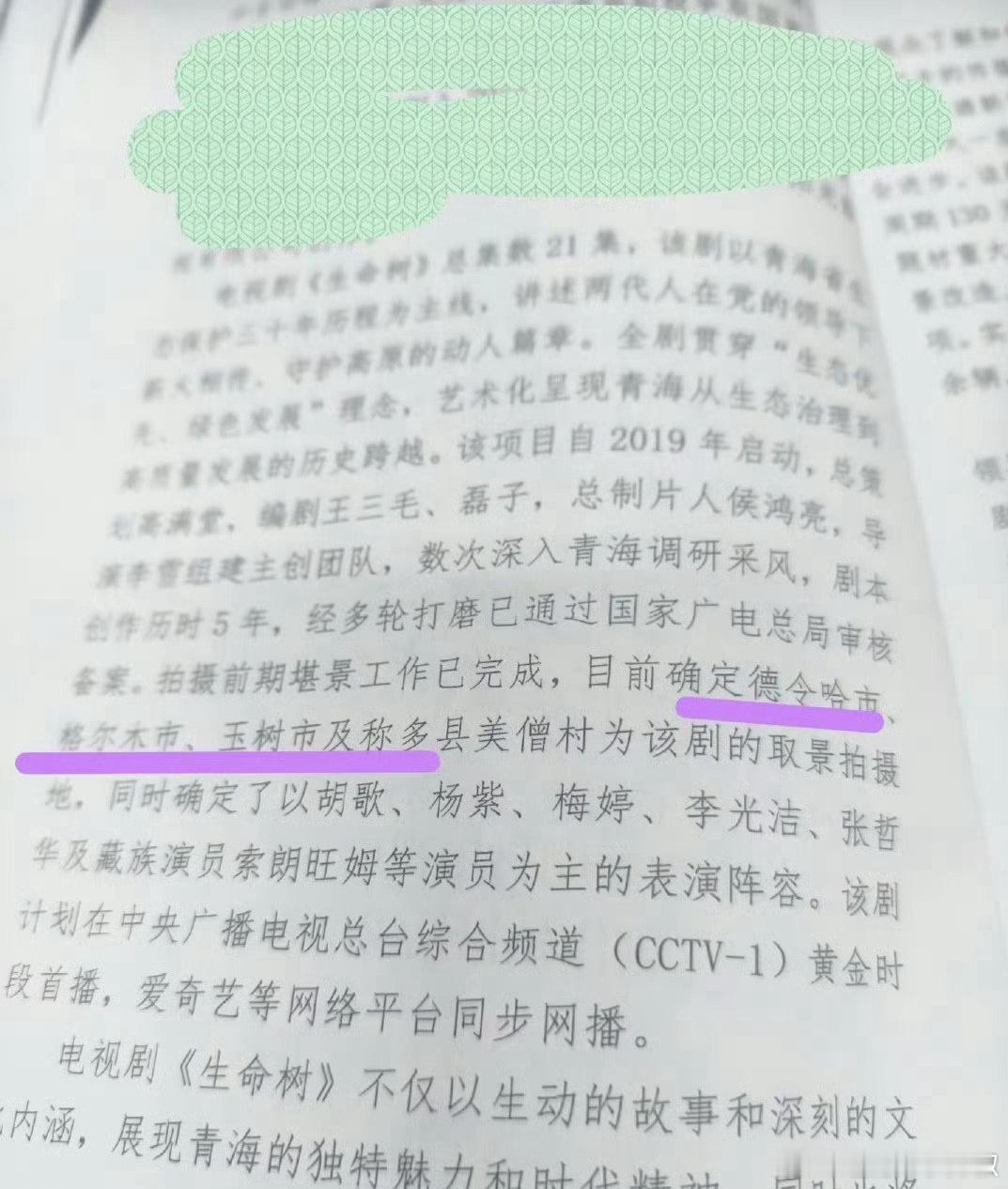 《生命树》这是板上钉钉半官宣了[傻眼]，主创确定胡歌、杨紫、梅婷，一堆老戏骨 ​