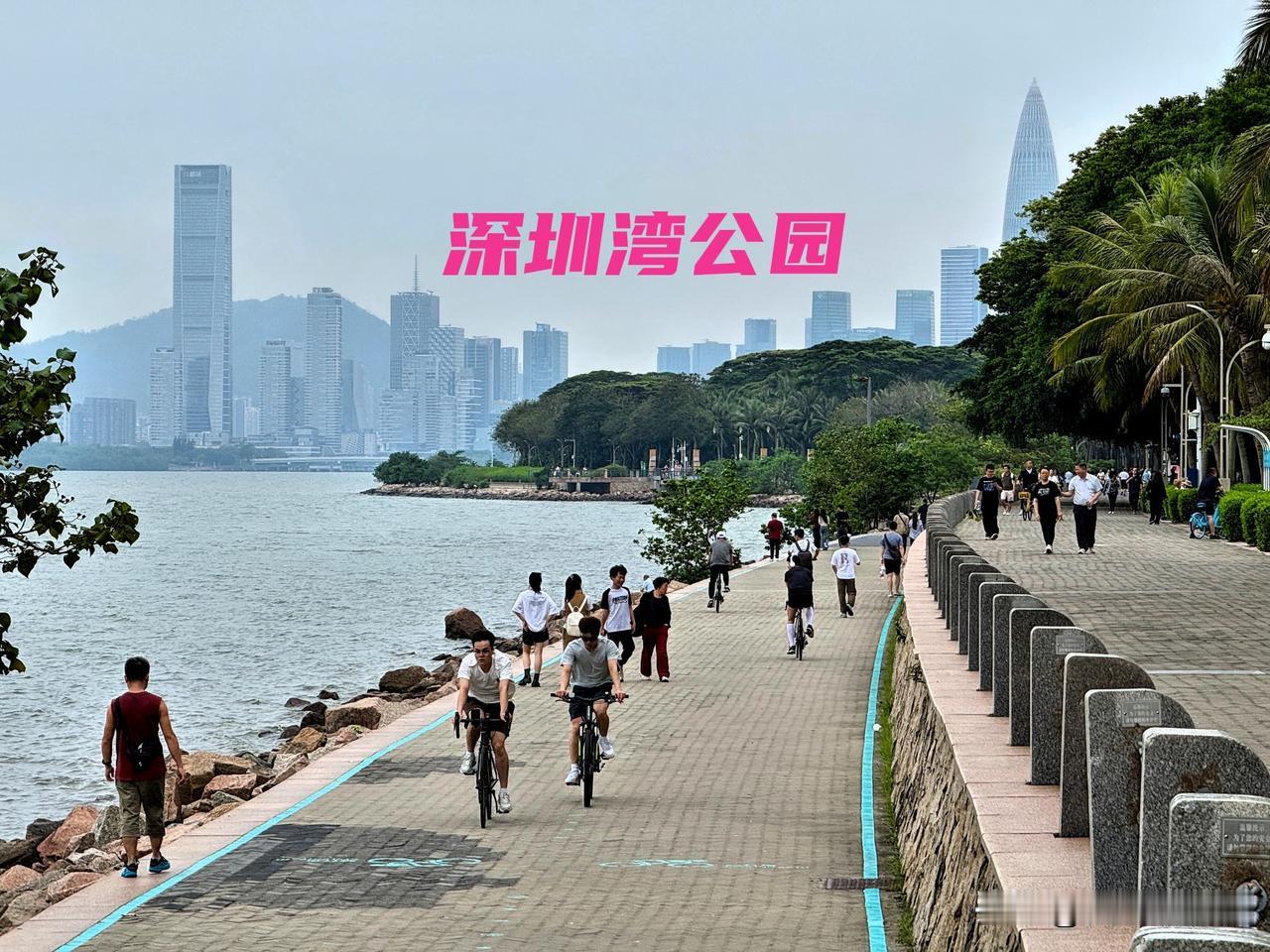 深圳湾公园那叫一个绝！一进去就被满眼的绿意包围，花草树木各有各的姿态。
瞧那翠绿