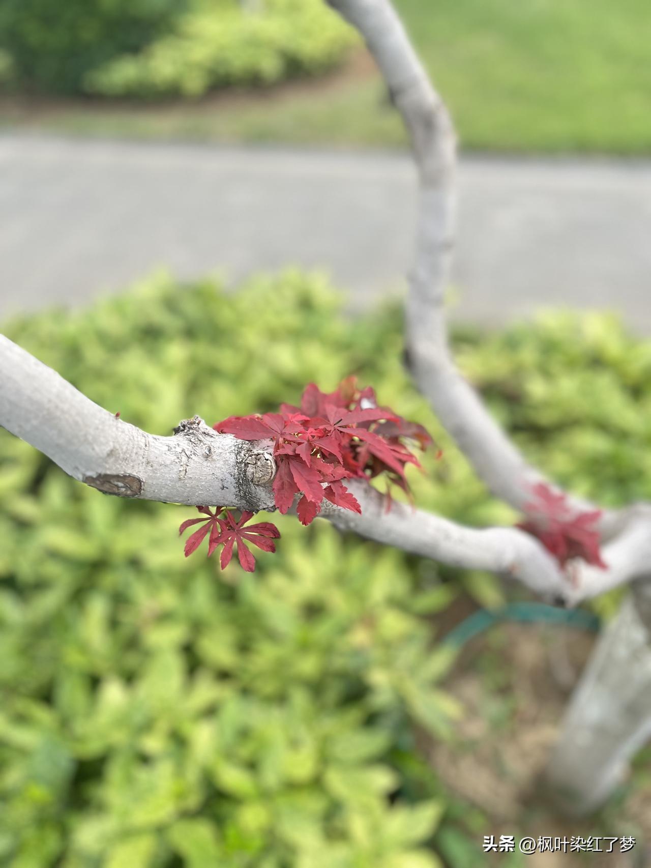 你问我答预防秋季皮肤干痒有什么好办法？