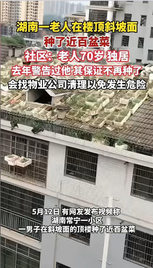 “看着就吓人！”5月14日报道，湖南，有网友拍到，一小区楼顶的斜面上，密密麻麻摆