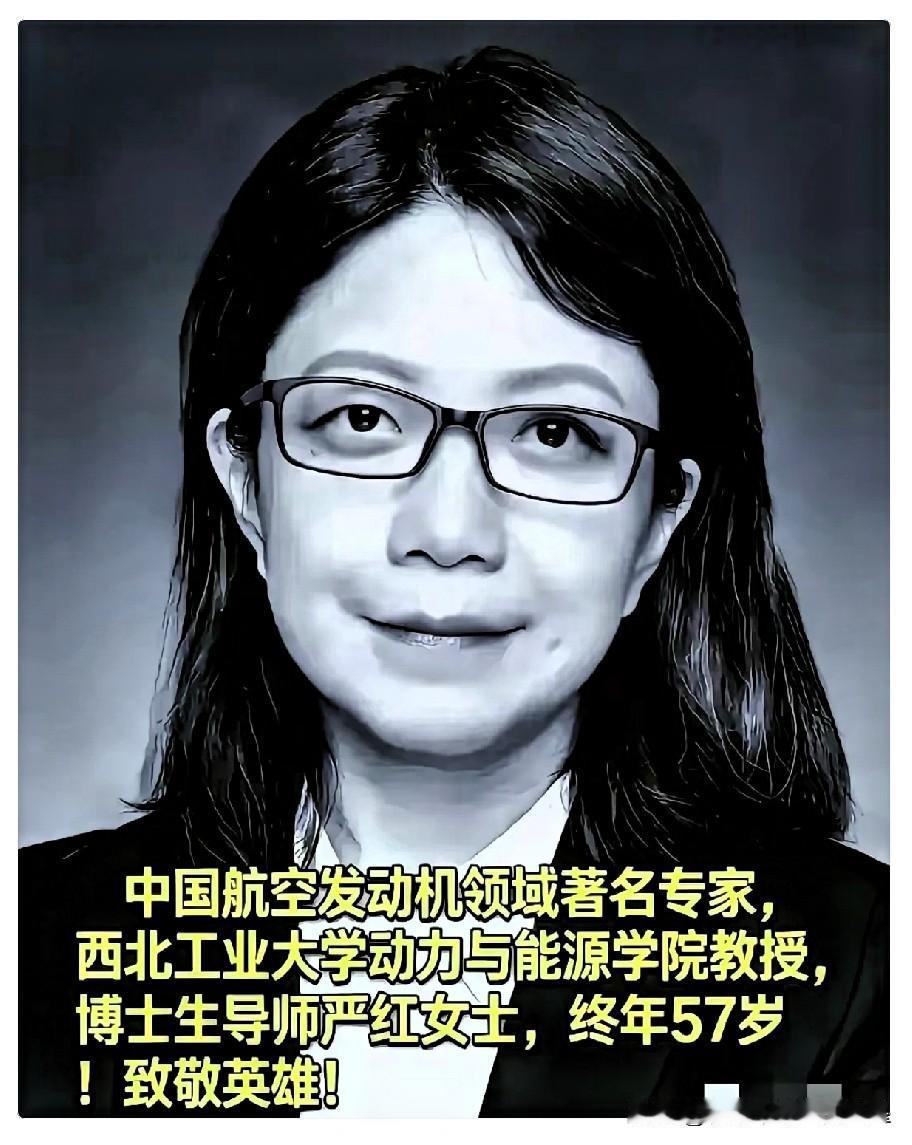 真的破防了，3月24日，西工大博导严红，死磕航空发动机的核心专家，也悄然离去了。