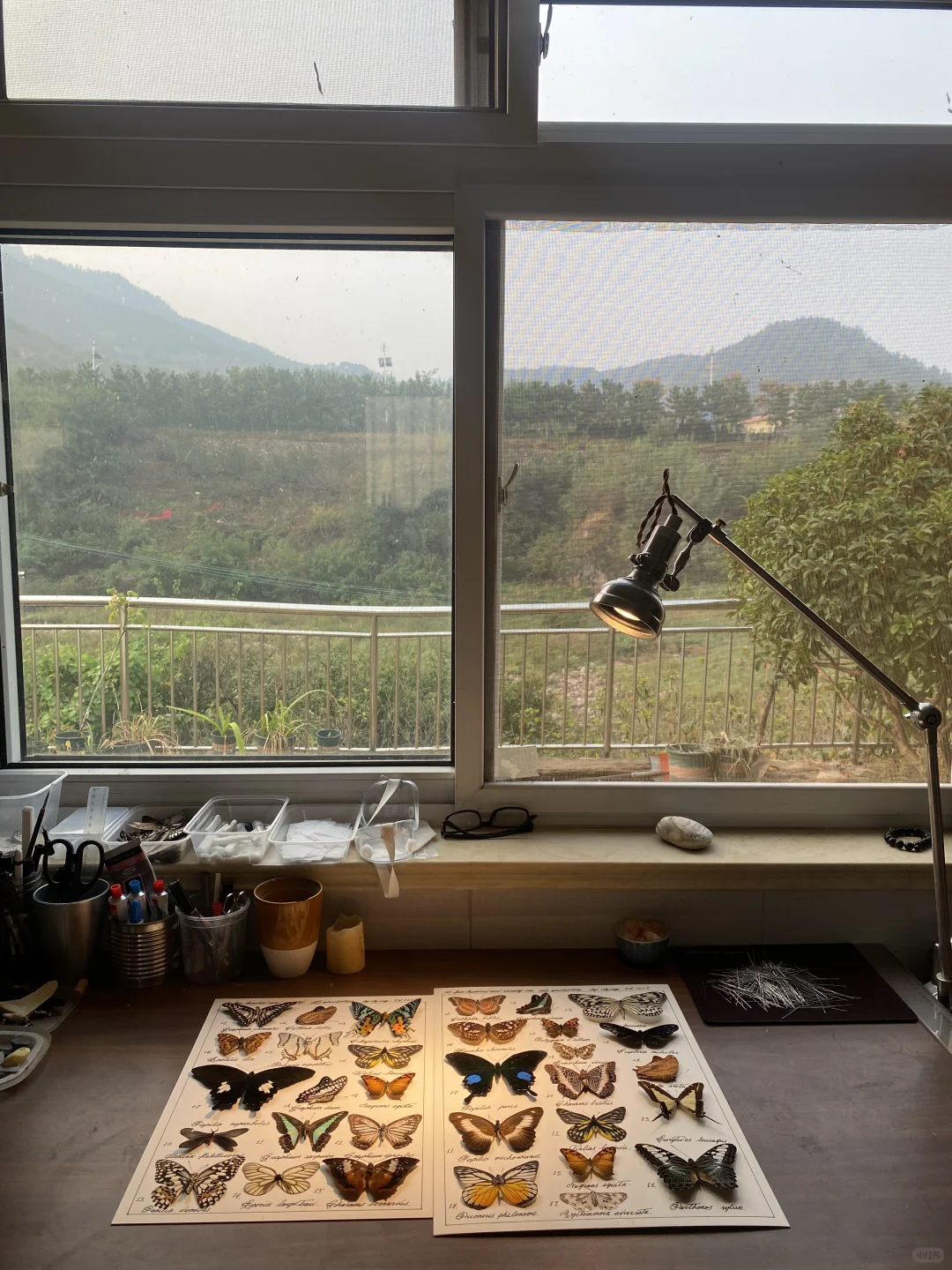 半夜窗外哗啦啦的下着大雨，我被雷声惊醒，虽然被吵醒但是我却很开心，因为...