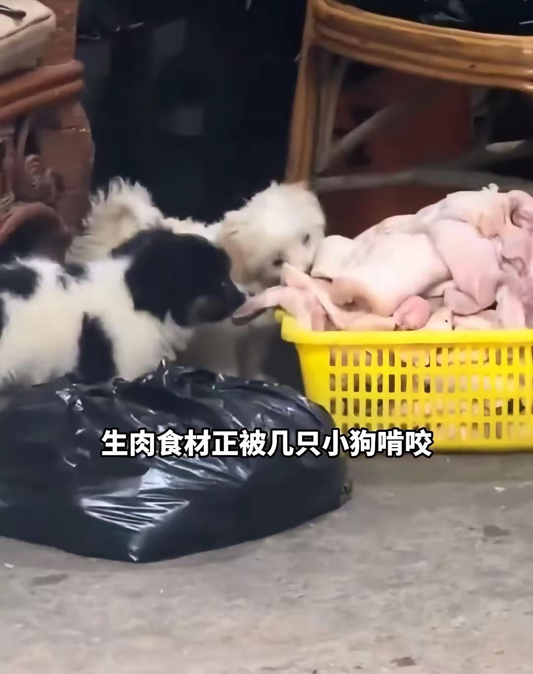 合肥七万卤菜店接连踩坑，
两大问题一并被查处，
老板接连收到两条坏消息。平日里店