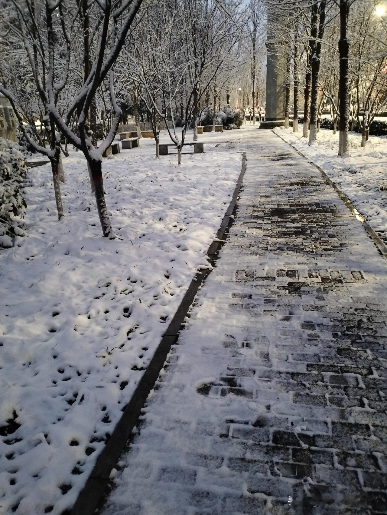 下雪了，但不大！