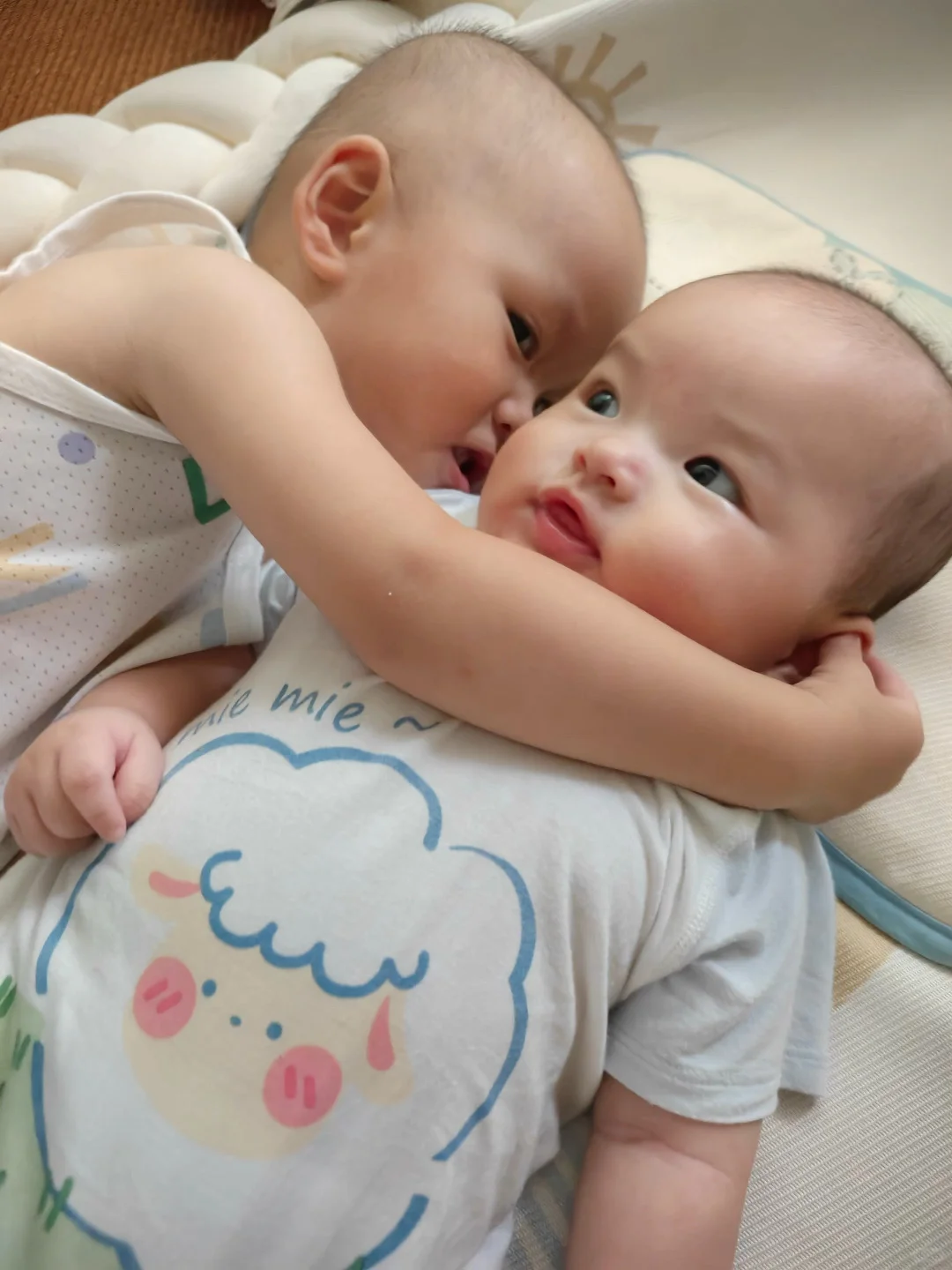 什么？四个月的妹妹看着比两岁的哥哥还大只