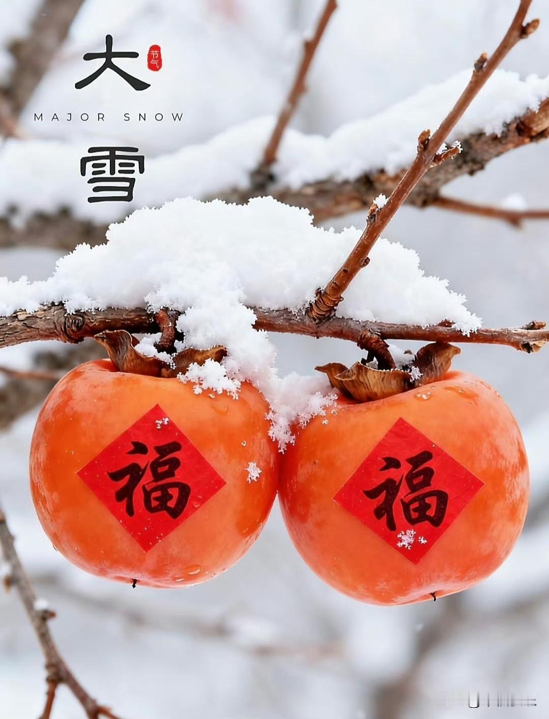 2025.12.07
今日大雪