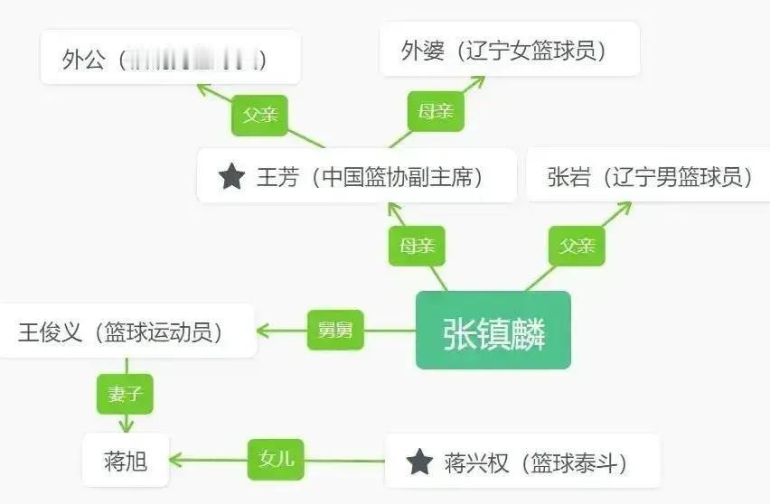 张镇麟的“天赋”满满，这样的“能人”中国能有几个？你普通人压根就比不上，没法比！