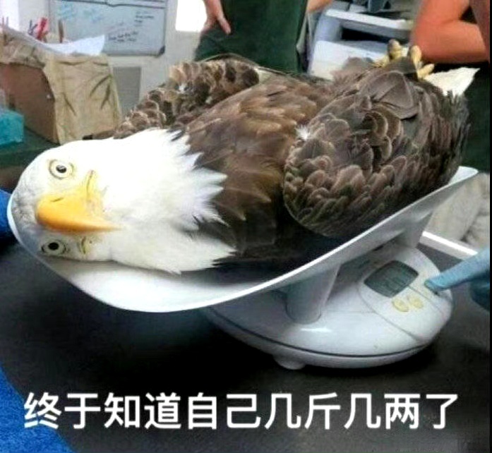 伊朗外交部长访华很好，多沟通，多多合作。就是不宣布鹰脑袋来！ 