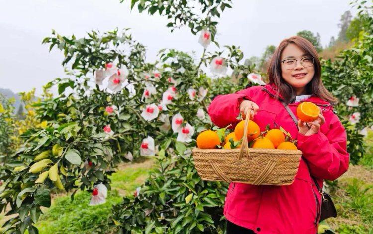 攻坚军工、助农致富、守护民生！来看重庆三位青年扎根基层的故事