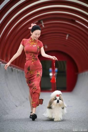 霍思燕爱犬在国际比赛夺冠 霍思燕与她的爱犬在比利时布鲁塞尔国际犬展夺冠，这不仅是