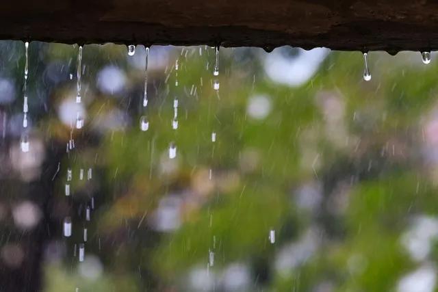 雨水邢西山里景 
文/冰笑
雨水已临邢西间， 
轻烟悠绕云岭山。 
山林渐润新芽