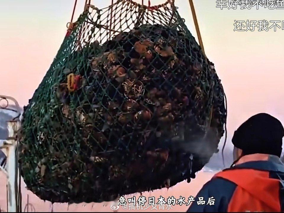 咱一定要吃吗？我们喜欢干净卫生的，也不缺海鲜辐射还得过几年才发现，这大肠杆菌那是