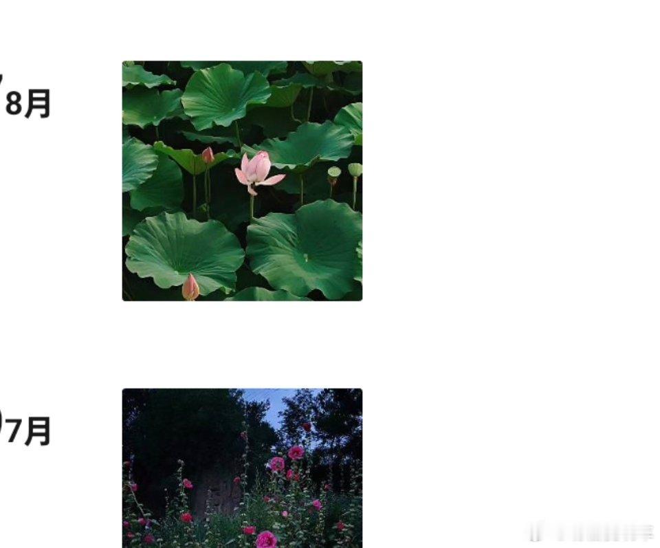 没有相亲欲望的朋友圈我以为是我这种呢[doge]，旅游朋友圈不是很吸引人嘛？ ​
