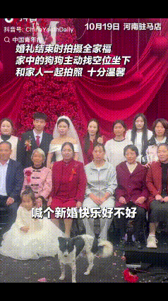 河南驻马店，婚礼办完，一家人正要合影，本以为热闹已经收尾。谁知摄影师喊看镜头的瞬