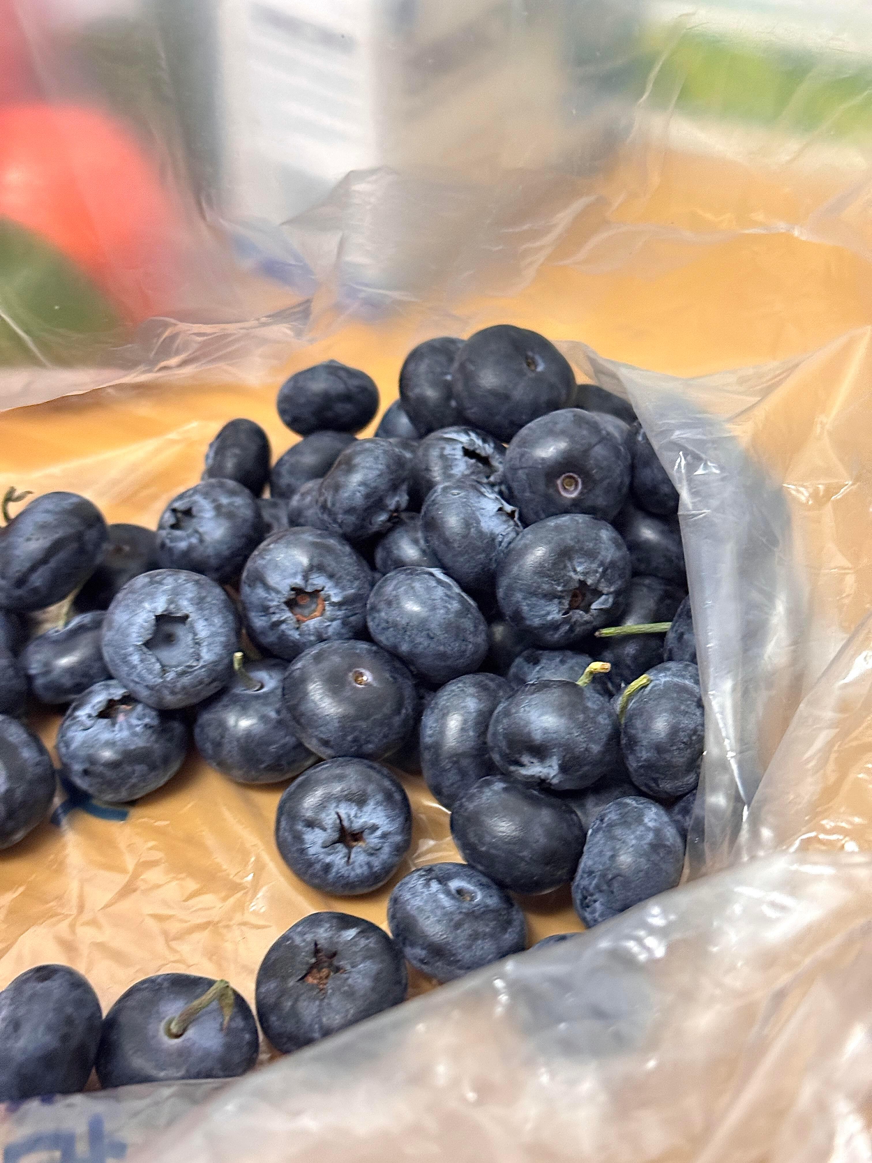 装一点色彩放进春天 ˗ˋˏ💐🪷🌷🌸🪻 