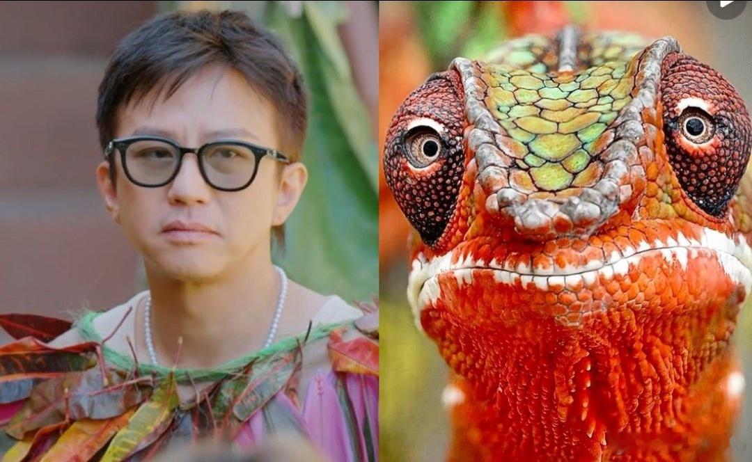 真的被鹿晗笑到！鹿晗也太敢说了吧，直接说邓超还是那个蜥蜴😂 十一年前相遇，十一