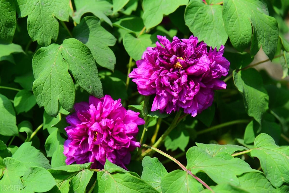 无论心情怎样，都要面带微笑。不要太把一个人放在心上，因为挫折经历的太少，所以才把