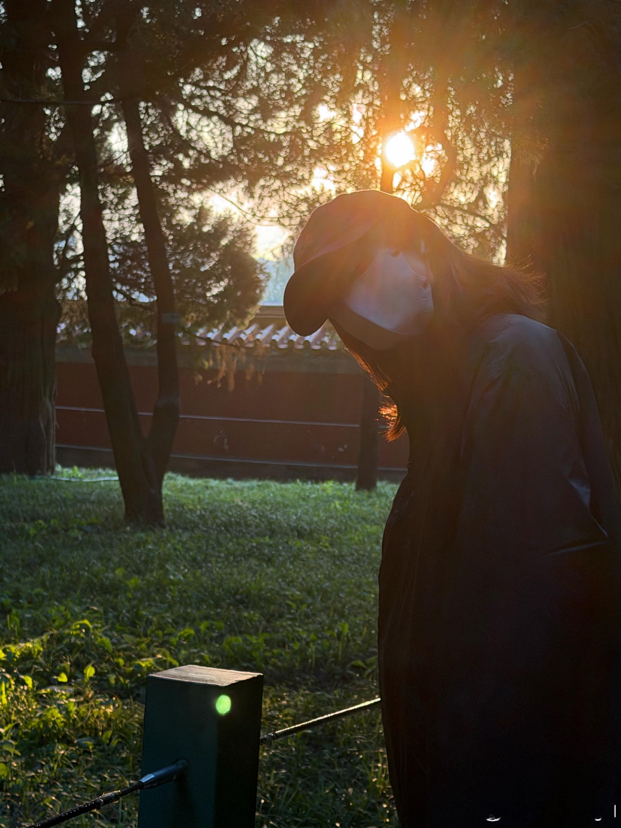 赵今麦晒库存简简单单的日常却有无限的生命力，赵今麦，我们喜欢你！ 