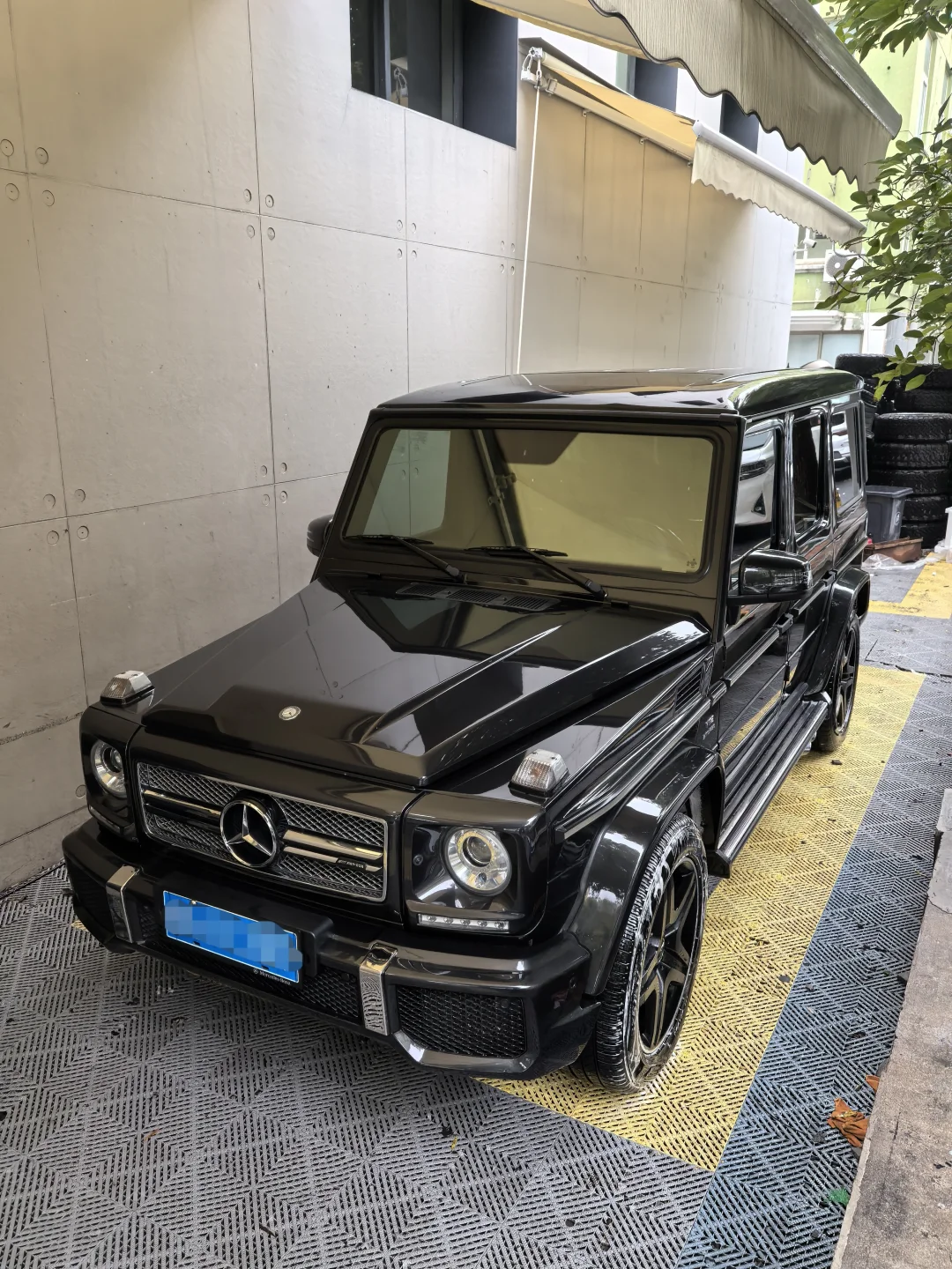 G65V12