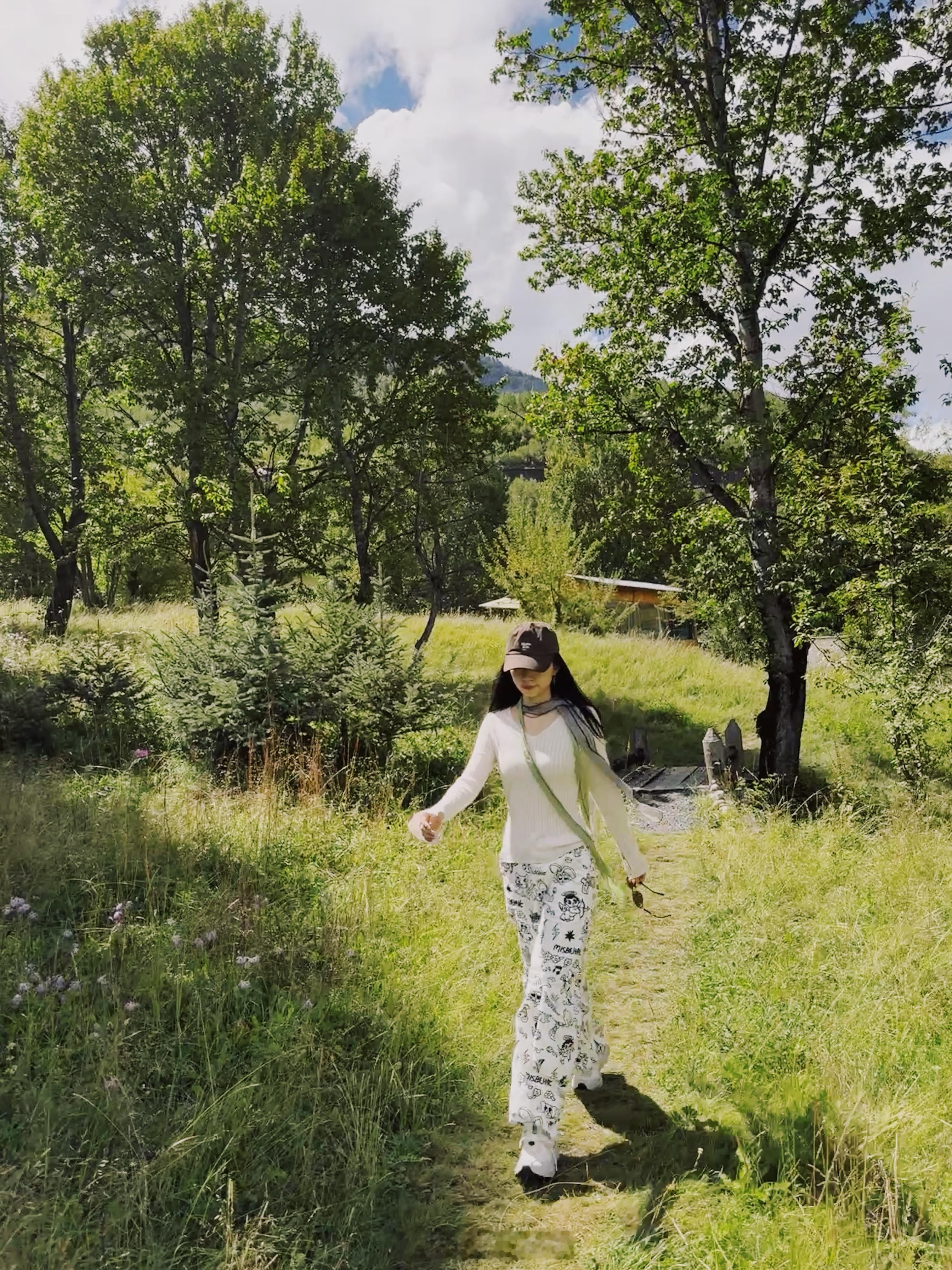 夏末的小木屋 ​​​