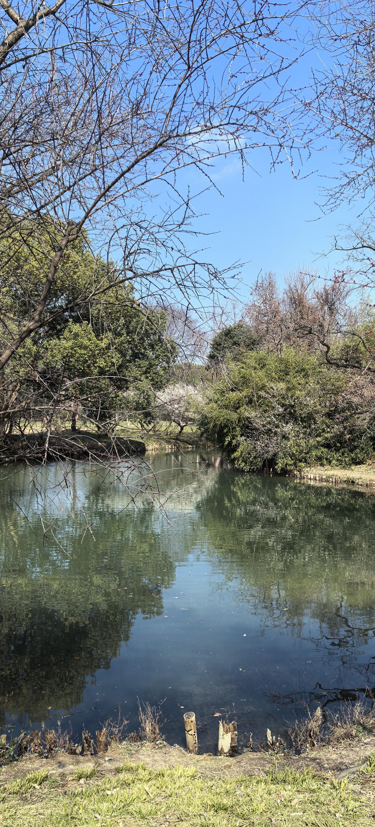 西溪湿地公园