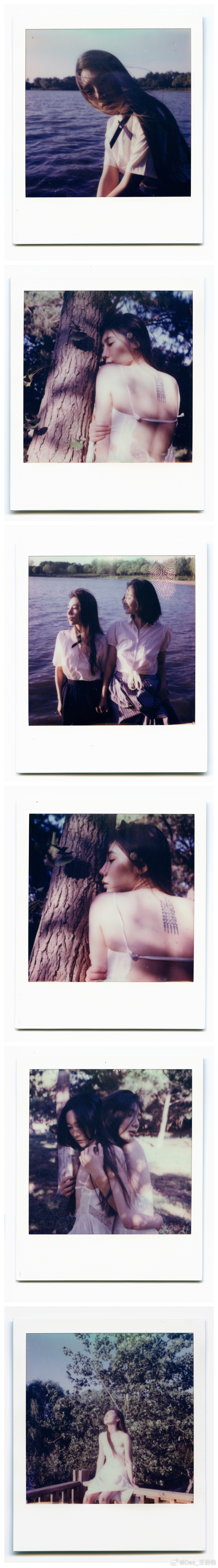 「 身 若 淬 火   心 似 琉 璃。 」Polaroid
