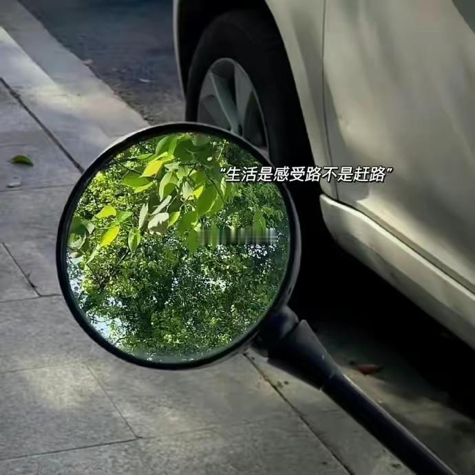 狮子座是比较热心肠的，很乐意去帮助别人也。因为狮子座的人性格开始，喜欢交朋友，朋