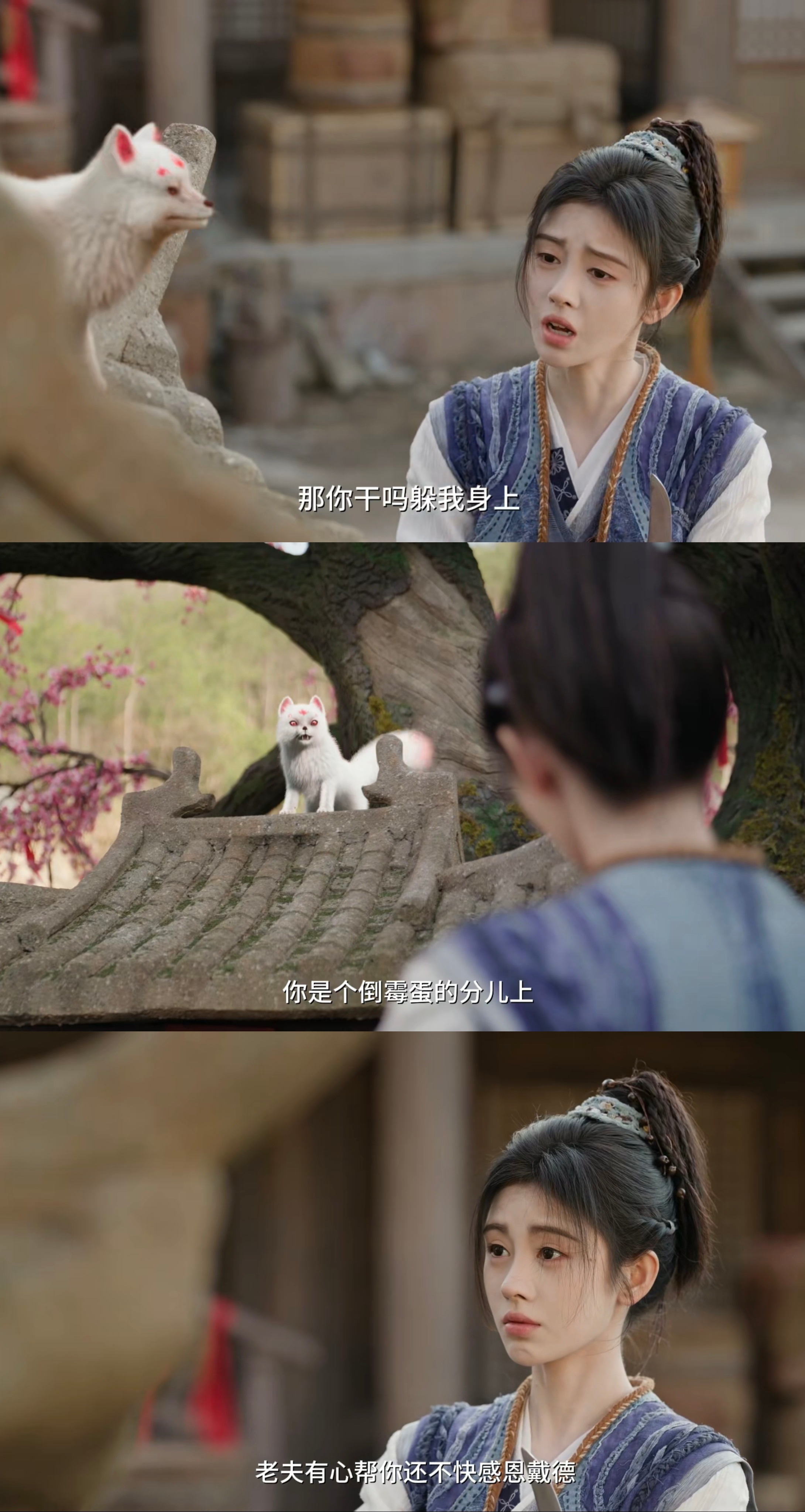 露芜衣怎么来千香客串了网剧千香 谁懂啊家人们！看《千香》突然发现这只狐狸跟《月鳞