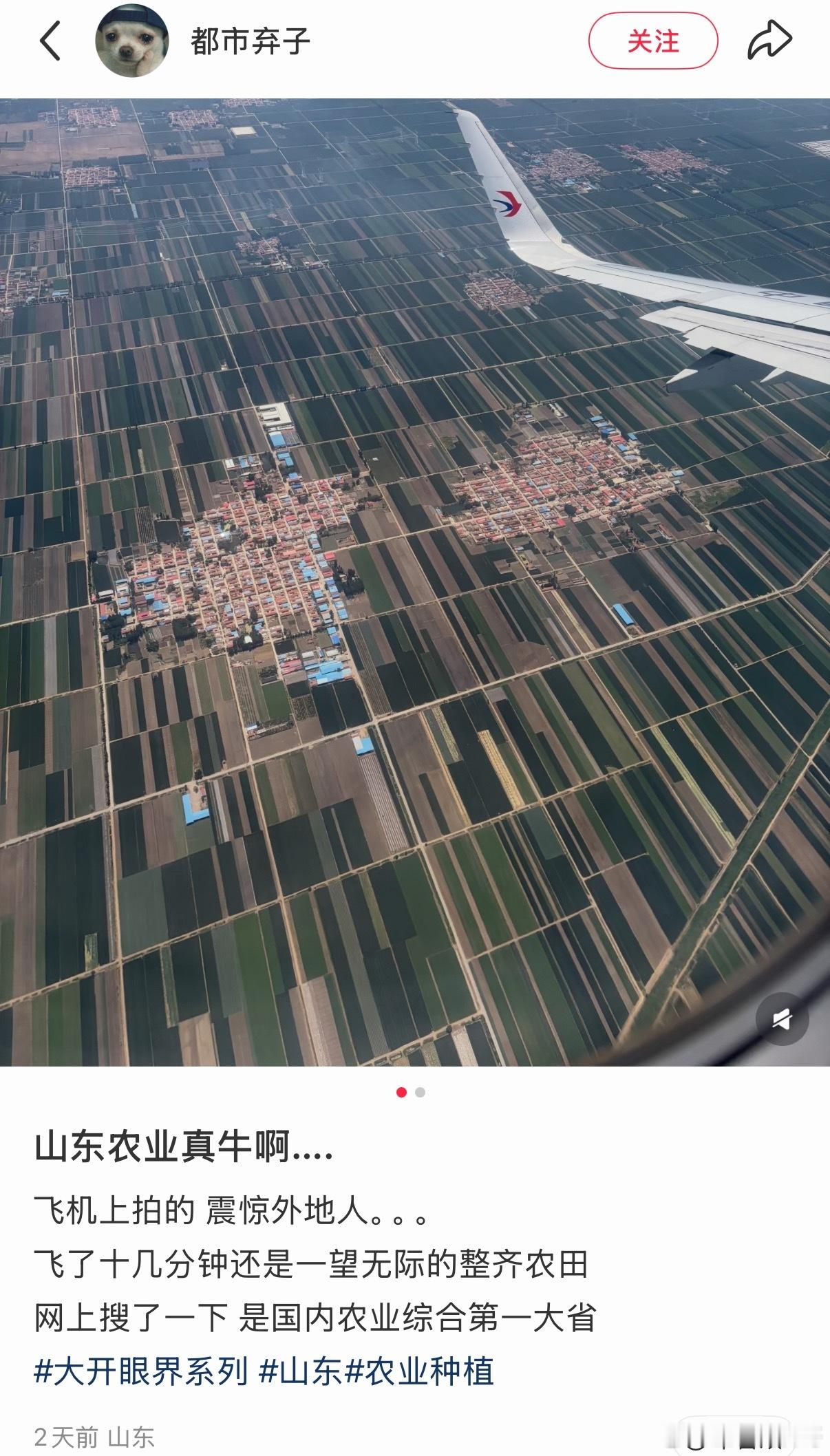 这就是山东的巨大优势！妥妥的农业大省，这是其他地方无法比拟的。 