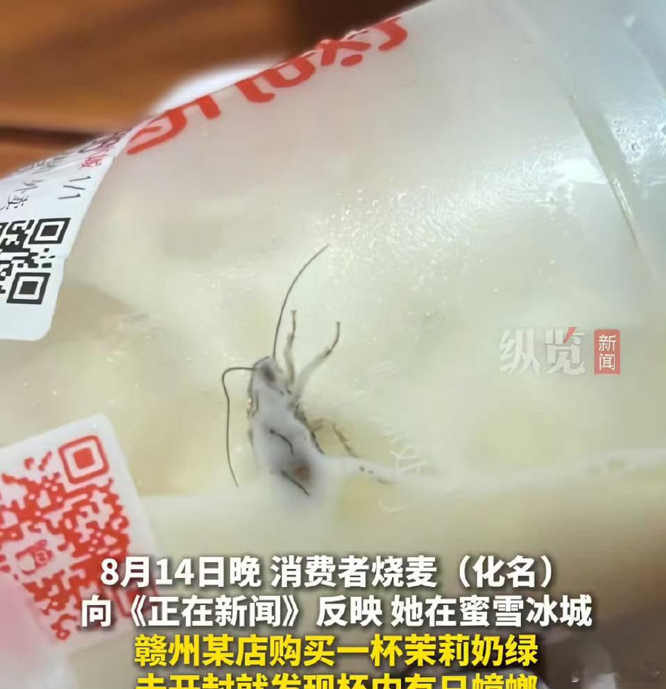 蜜雪冰城未开封奶茶惊现蟑螂[衰][衰][衰][衰][衰][衰][衰]还好我不喝…