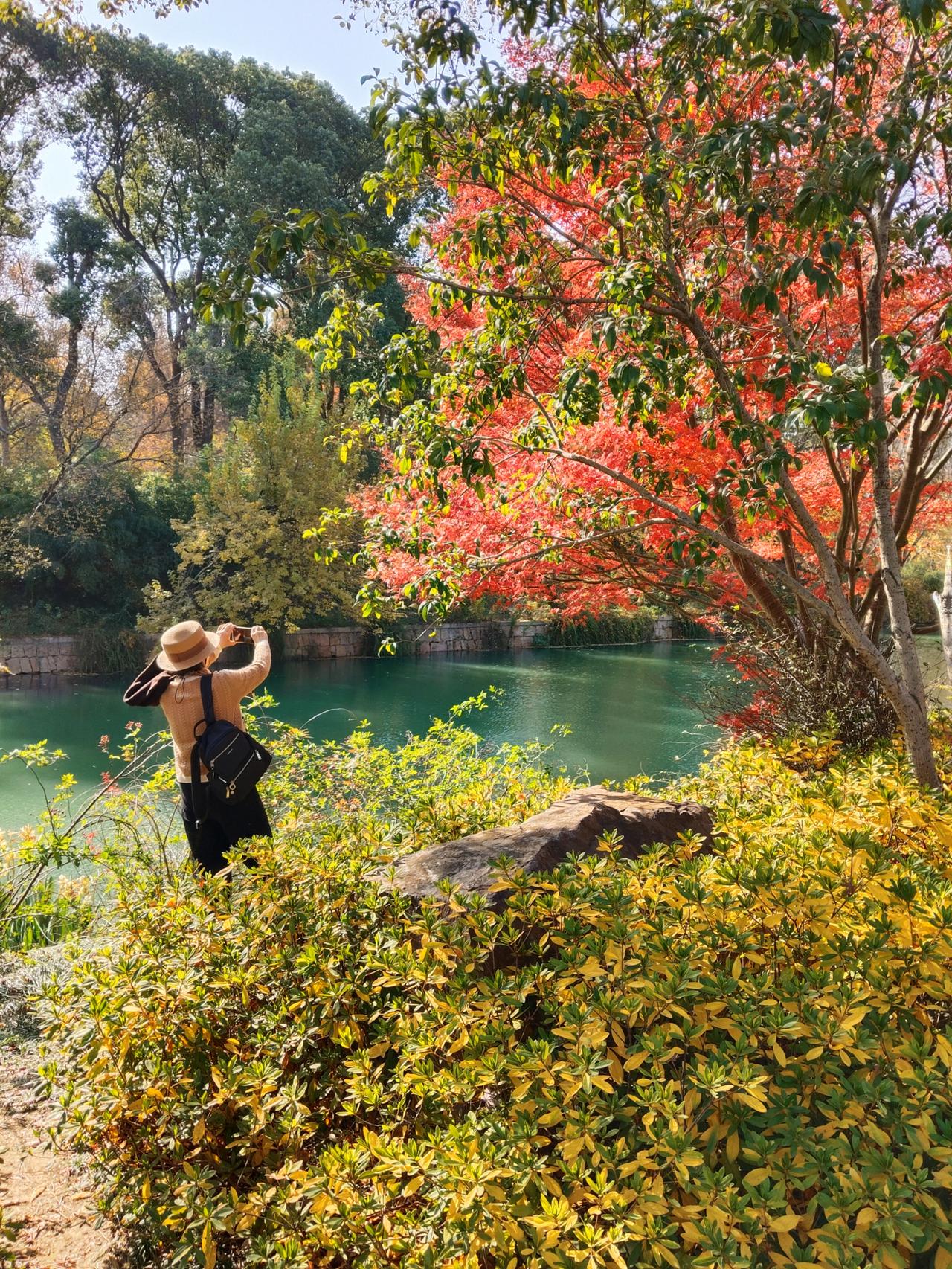 晒一张旅途风景照