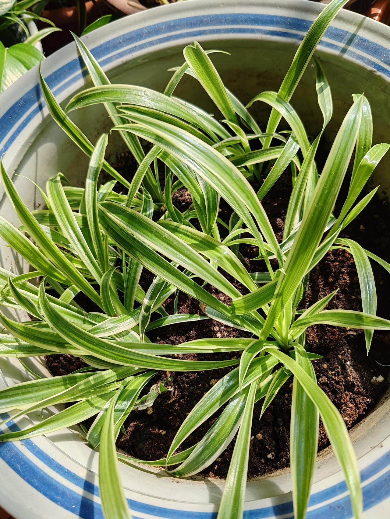 春日生活打卡季春天在哪里？春天在情绪里。