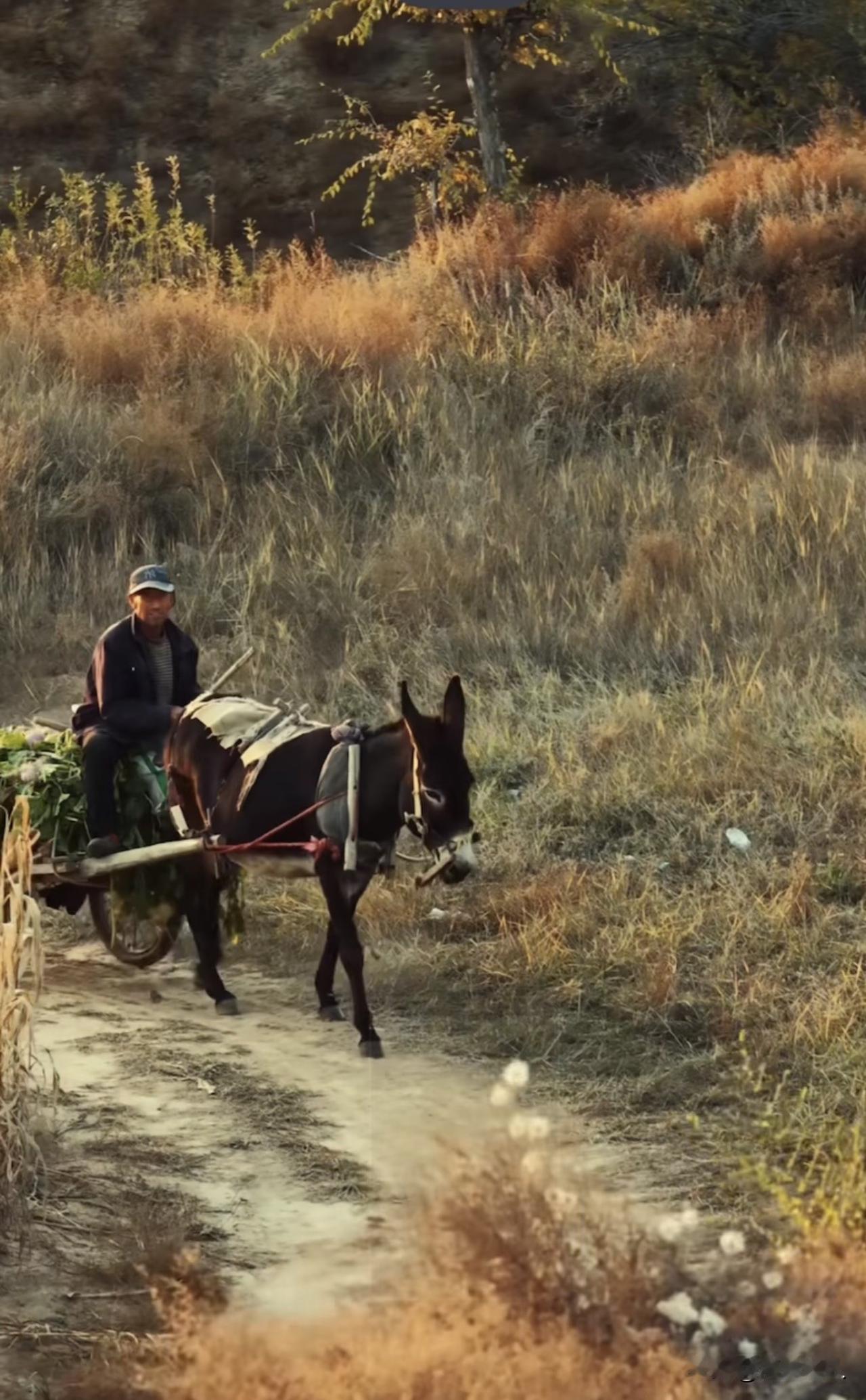 新思维：别让作秀者得势，莫让造孽者得利

曾几何，作秀者飞黄腾达，造孽者财源滚滚