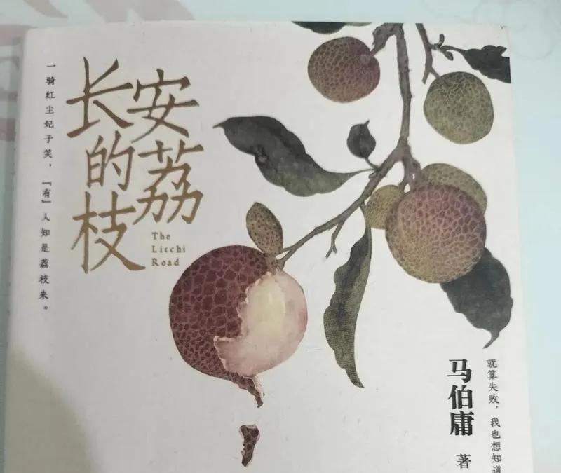 看了《长安的荔枝》里杨幂演的李芷，我直接被圈粉！
 以往幂幂演的角色，大多是那种