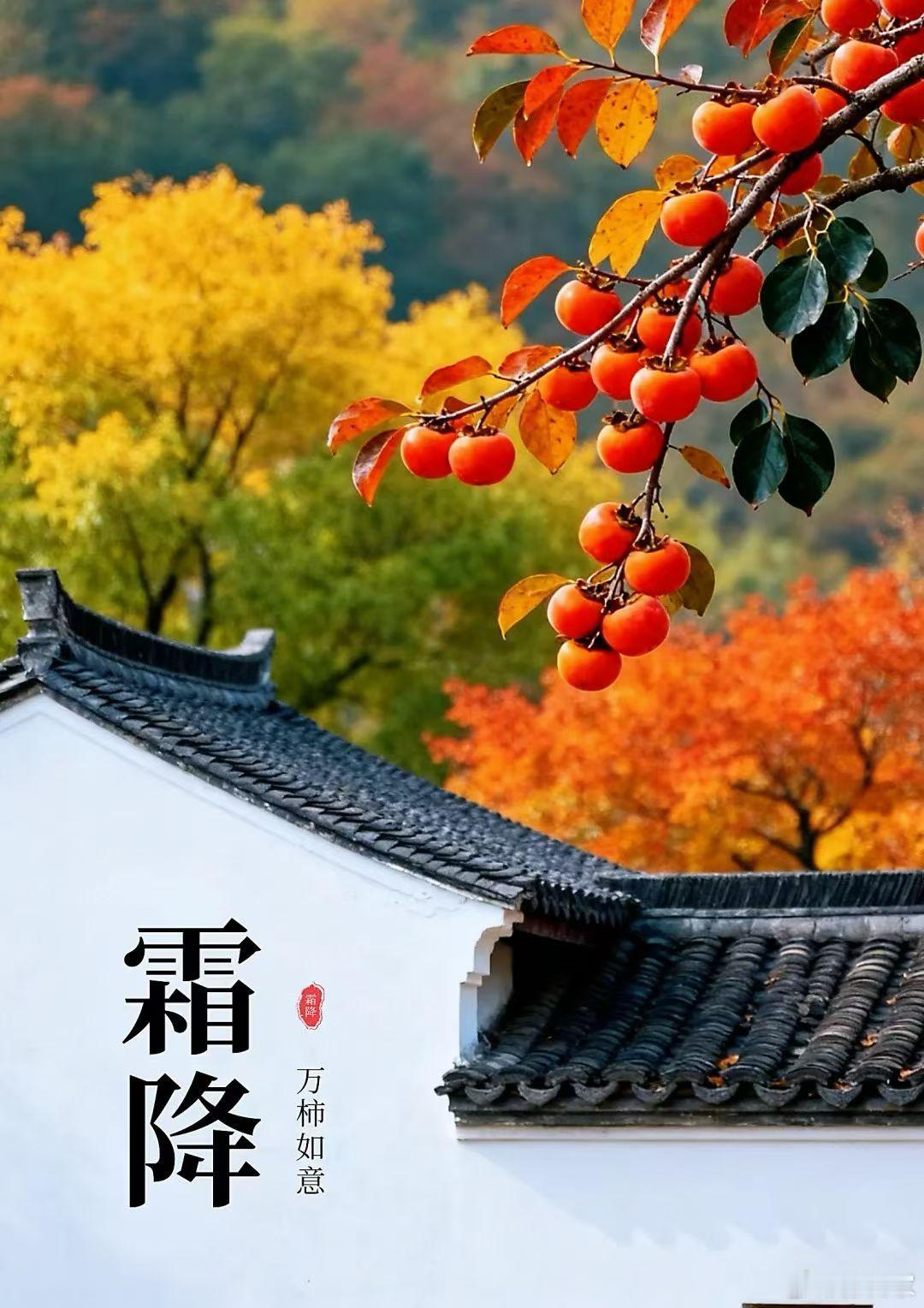 一晃又一秋🍂 ​​​