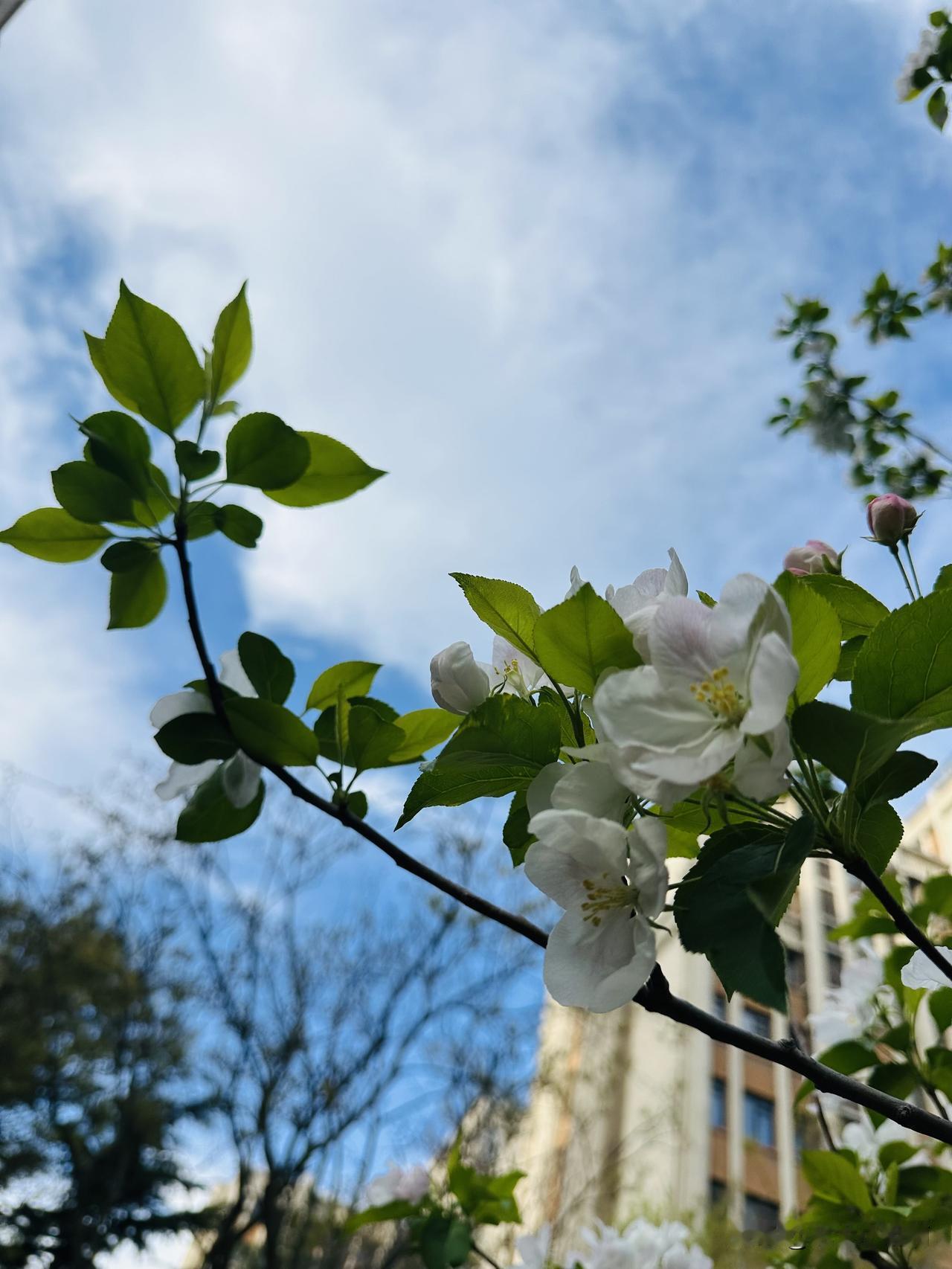 喜欢的事情趁着能走趁着多少还年轻点想做立马就去做吧。
别等等。
你要知道老天爷不