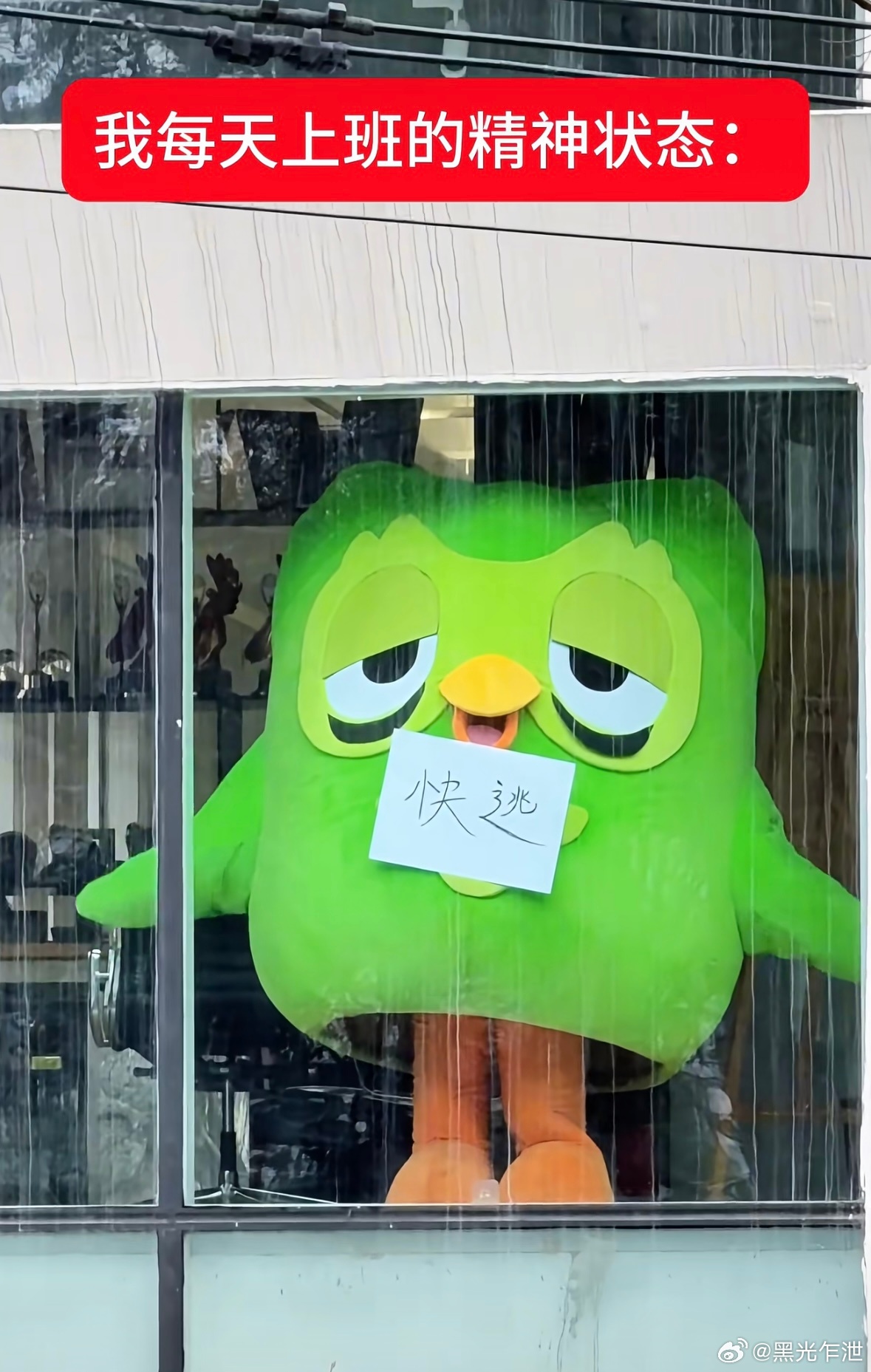 🆘多儿今日宣布辞去多邻国吉祥物一职： 