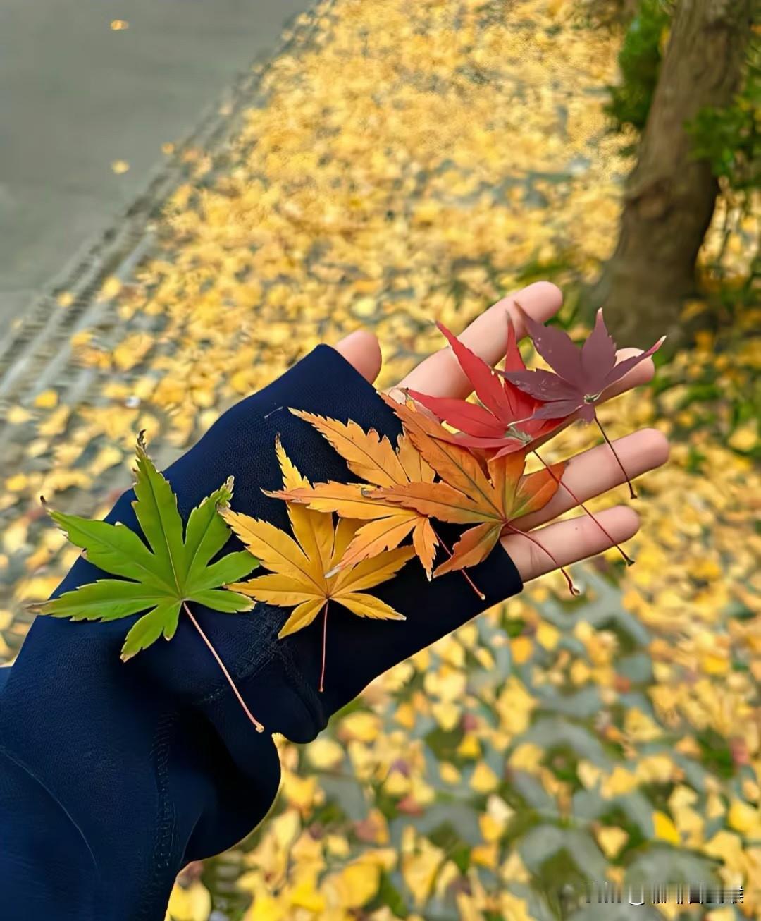 中午儿媳妇回家吓我一跳。

中午吃饭的时候，儿媳妇下班回来了，一进门就抱住我哭了