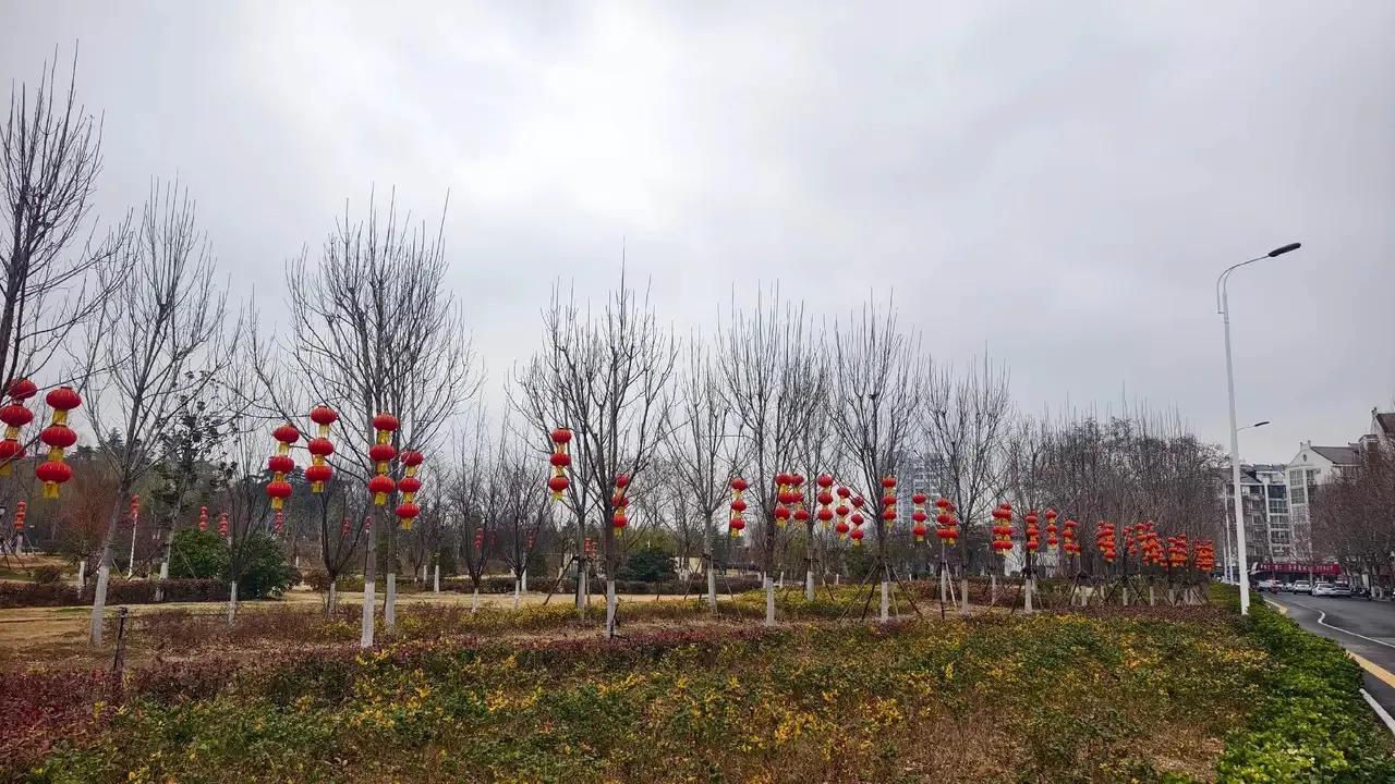 “你爸走了，赶紧回来吧。”电话那头的声音低沉而急促，犹如一道晴天霹雳，瞬间将我拉