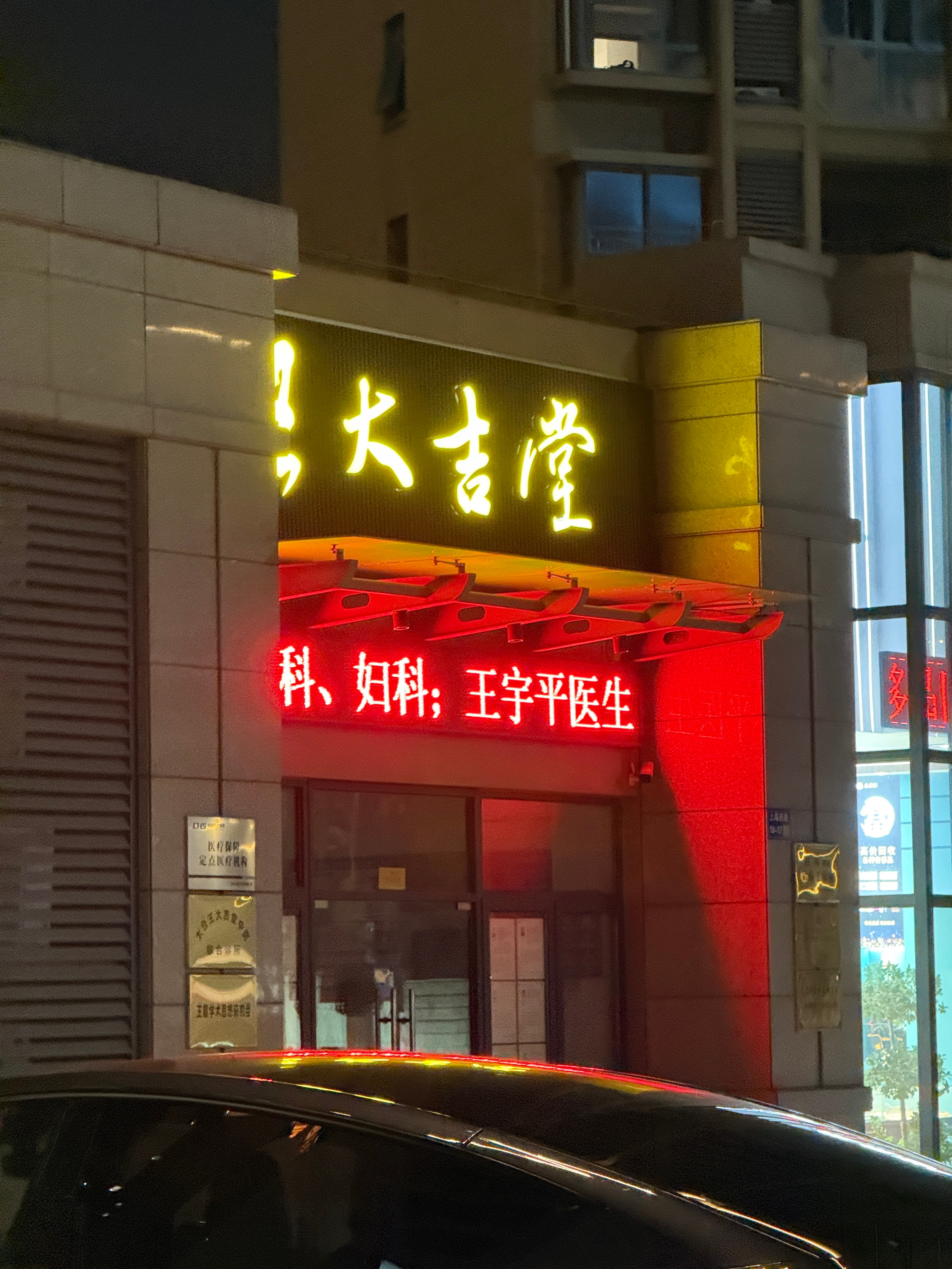 你的散步搭子已就位 