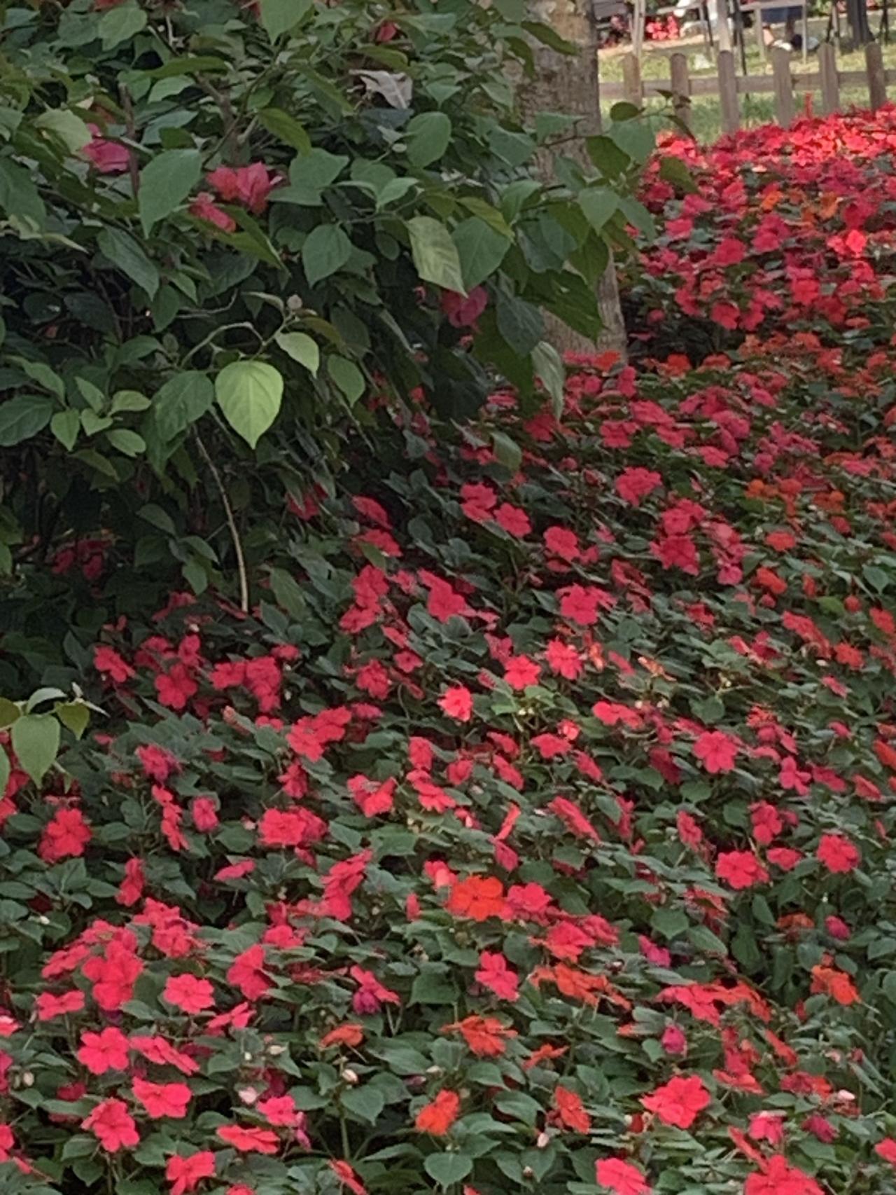 今年春天，我最想实现去山里住一晚的心愿。不想住精修民宿，就想住在山脚下村落的老房