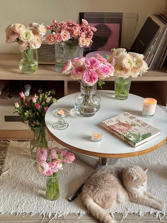 ғʟᴏᴡᴇʀ🌷｜春天🌼在一个人的房间里