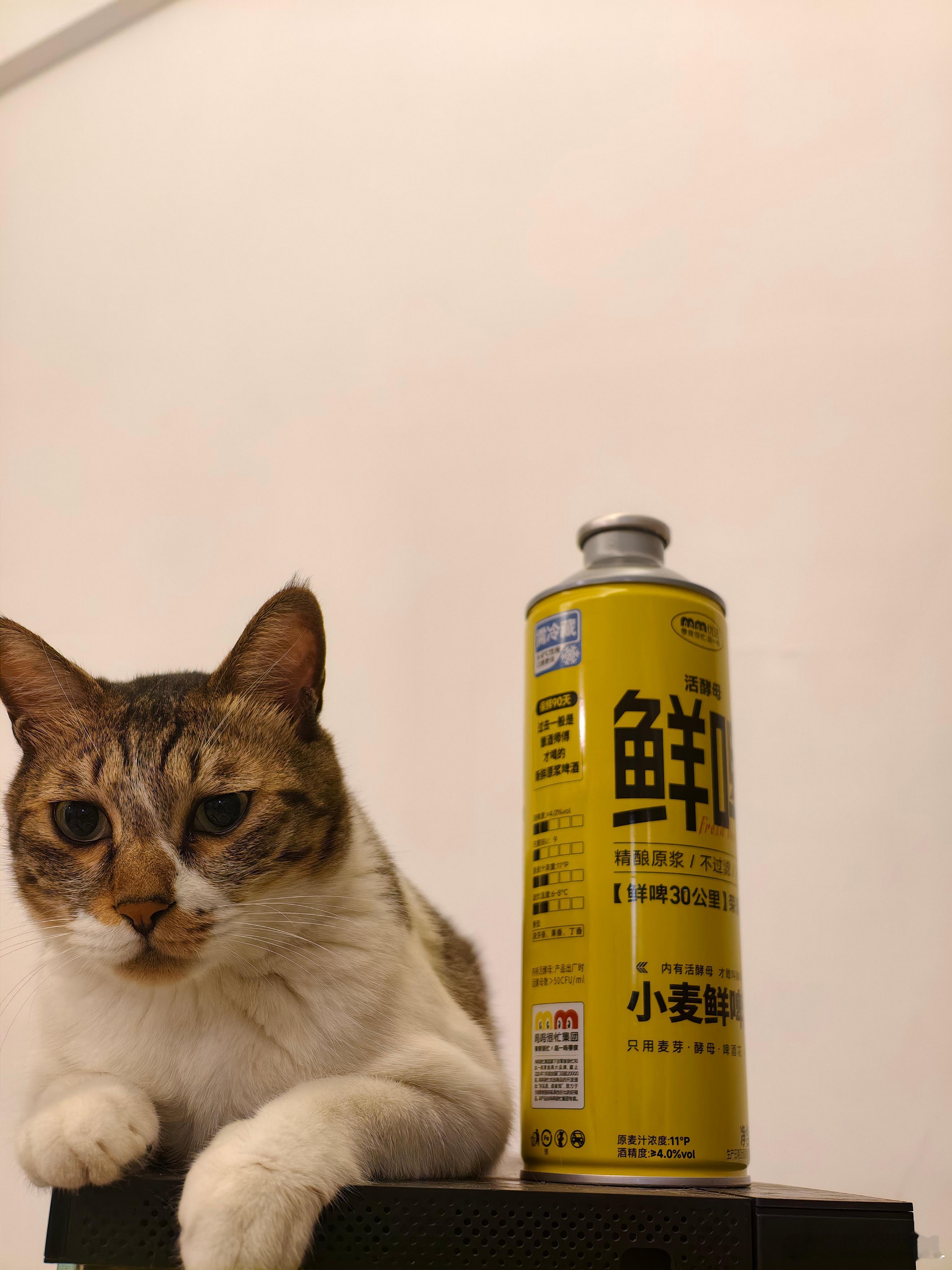 这个赵一鸣的鲜啤还挺好喝的。一不小心就喝得有点多了...