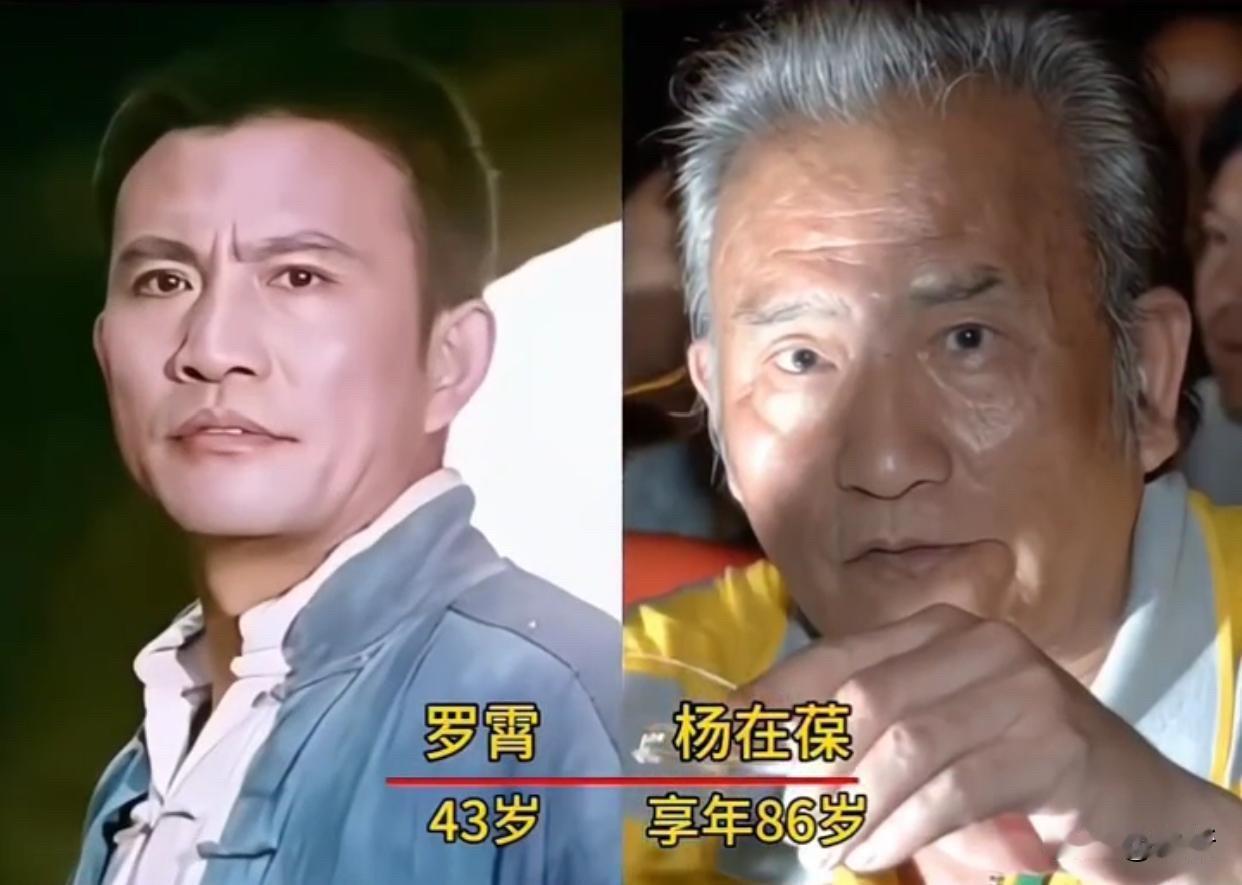 1979年，电影《从奴隶到将军》上映。杨在葆演的罗霄、张金玲演的索玛、冯淳超演的
