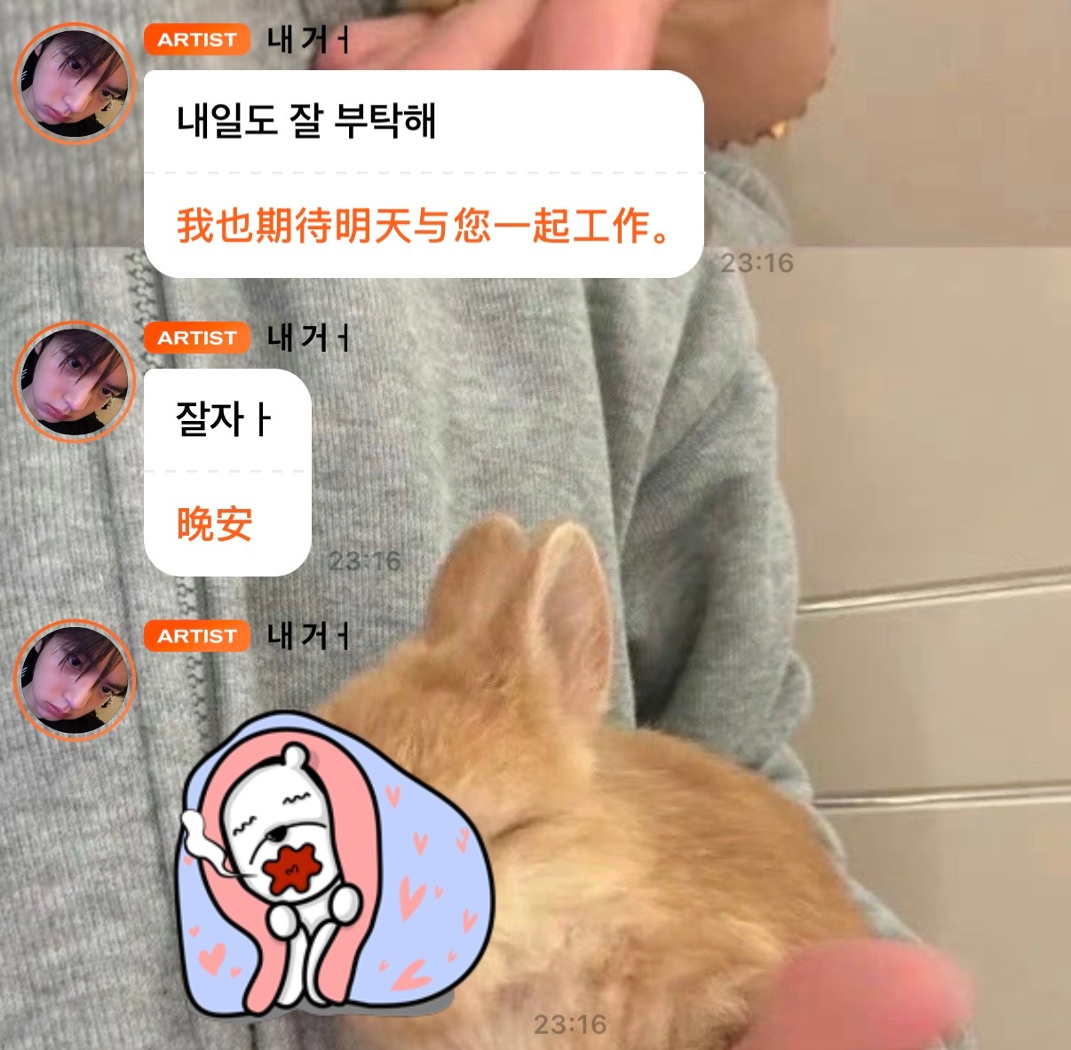 这我怎么睡得着  专栏 · 小兔幸福存档♡