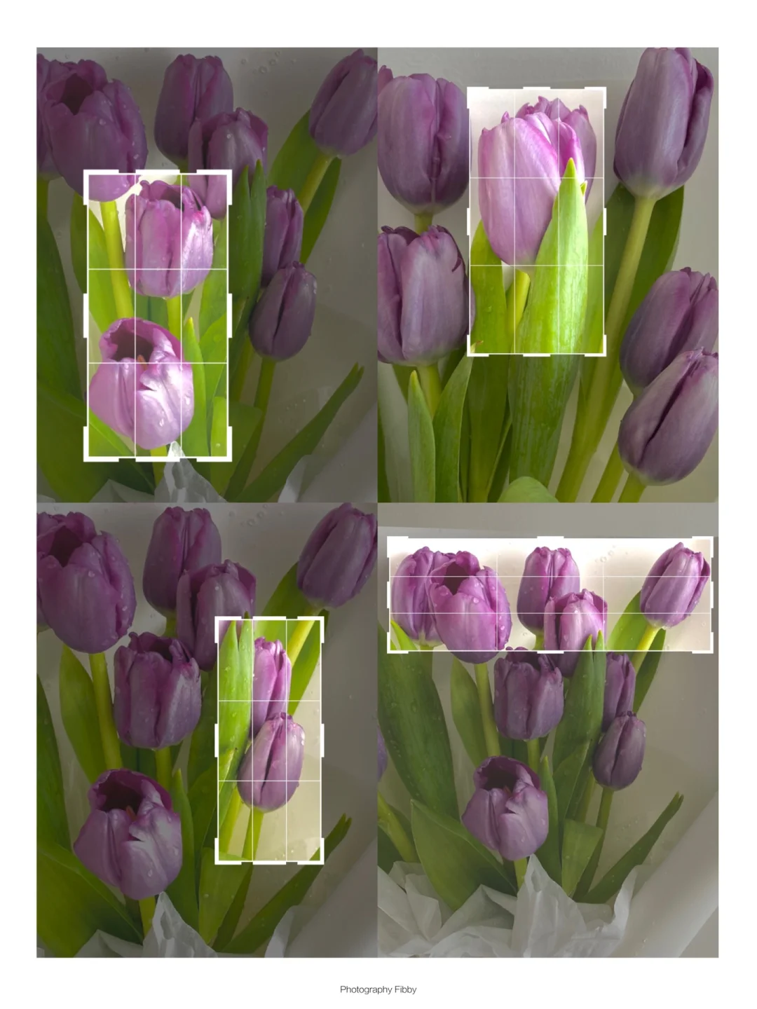 🌷一束花到底可以二次构图成多少高级海报