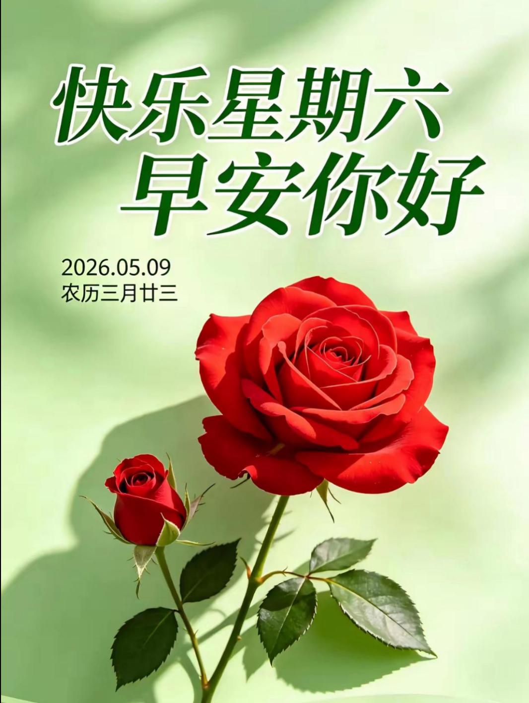 🌻五月浅夏，晨光熹微。在这个美好的周六清晨，送上暖心的祝福，愿你在这浅夏时光里