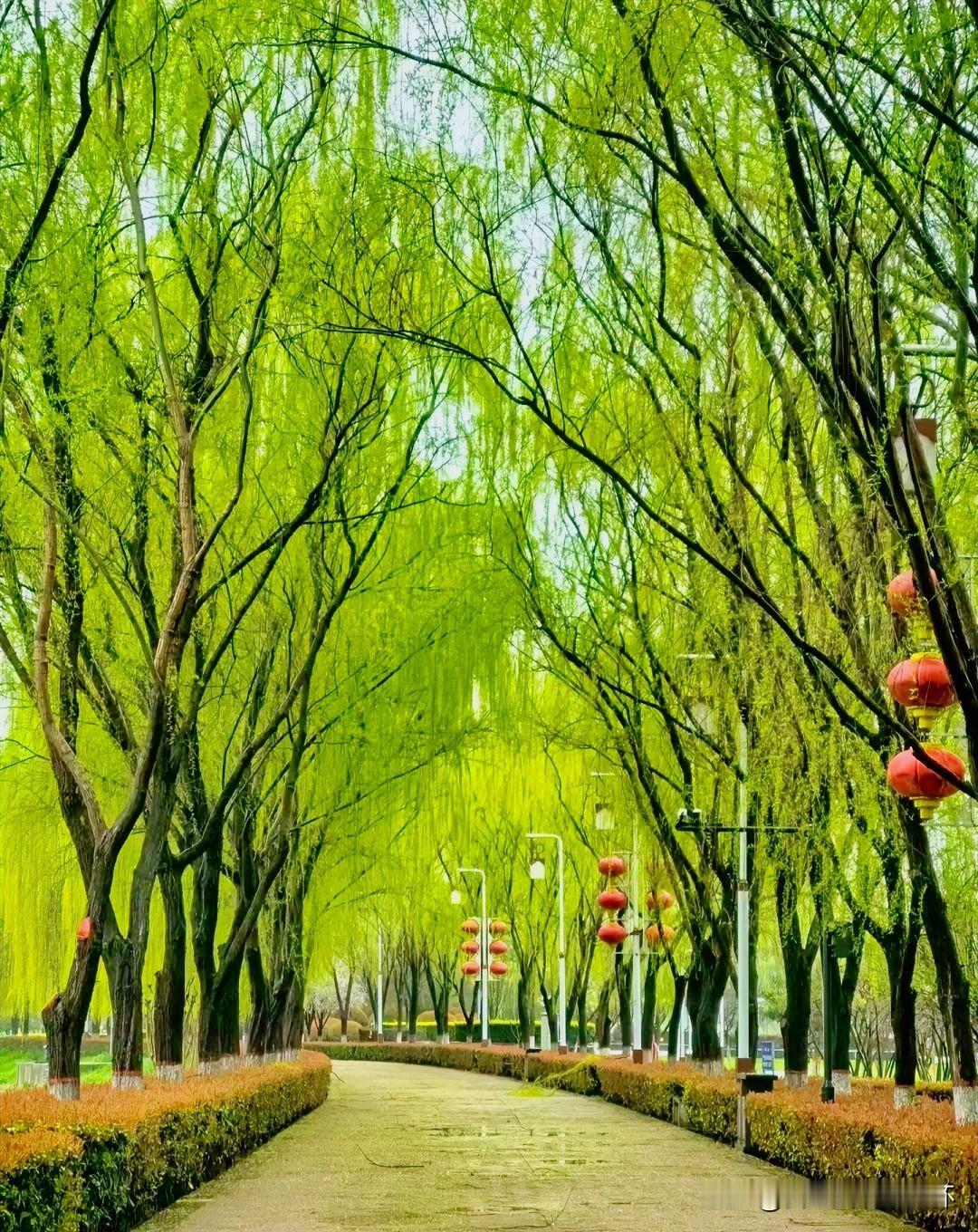 下联：十里春风细柳营
上联：有请雅士[玫瑰][玫瑰][玫瑰]
